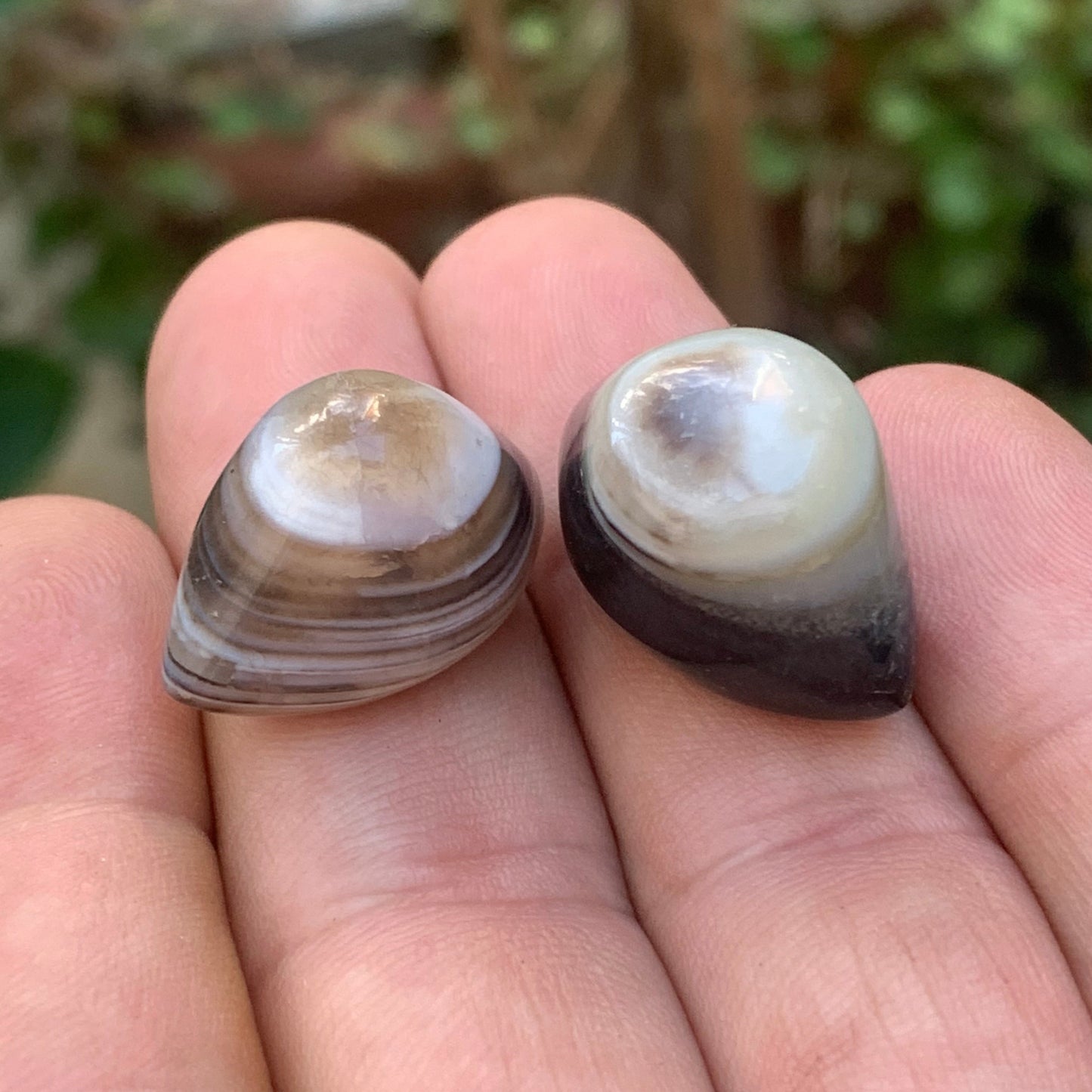 Agate 'Œil de Shiva' ou 'Œil de cyclope' - Au choix, 2 spécimens naturels de 24x15x15mm (6gr.) ou 23x15x15 (7 gr.) !