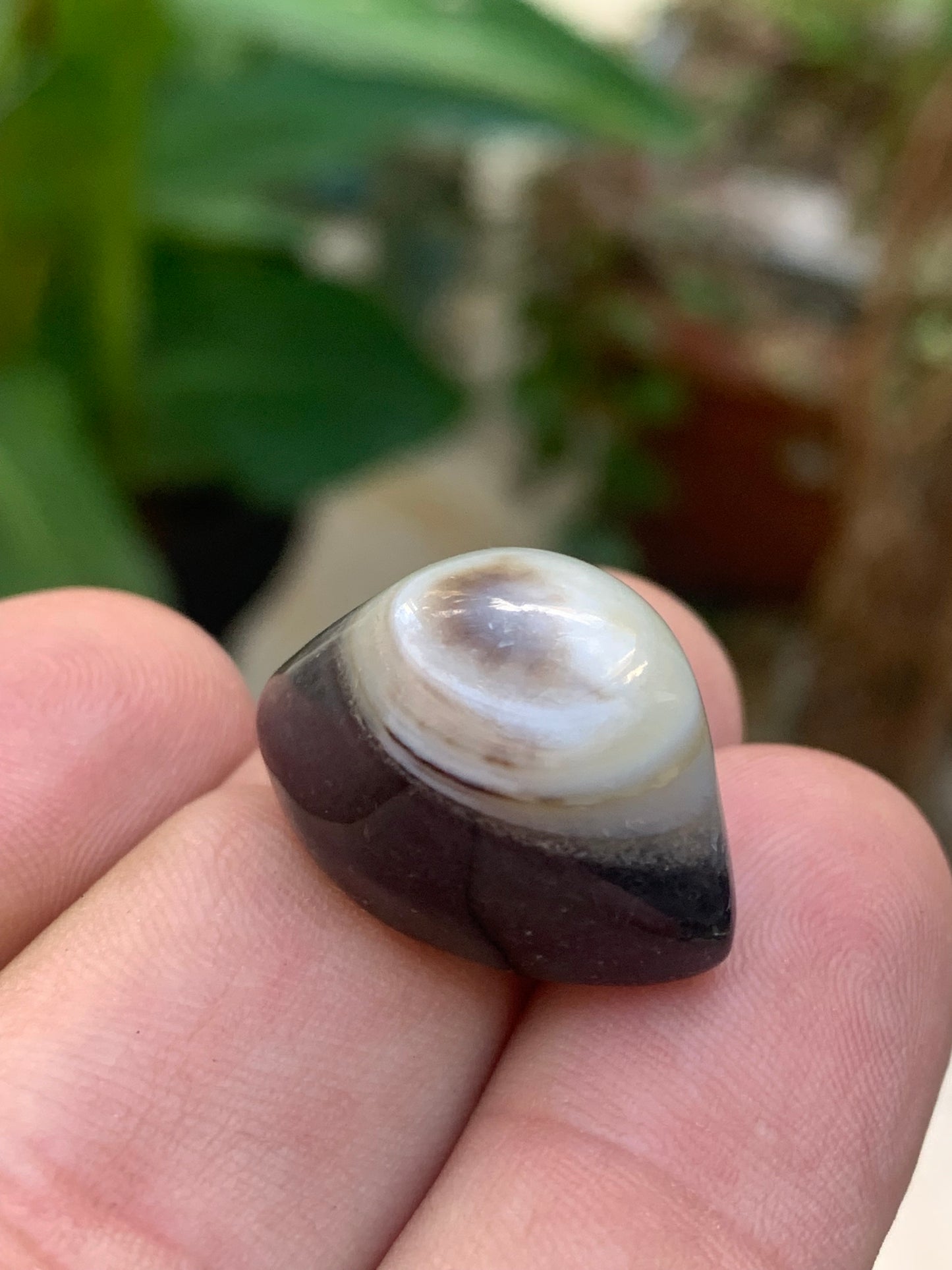 Agate 'Œil de Shiva' ou 'Œil de cyclope' - Au choix, 2 spécimens naturels de 24x15x15mm (6gr.) ou 23x15x15 (7 gr.) !