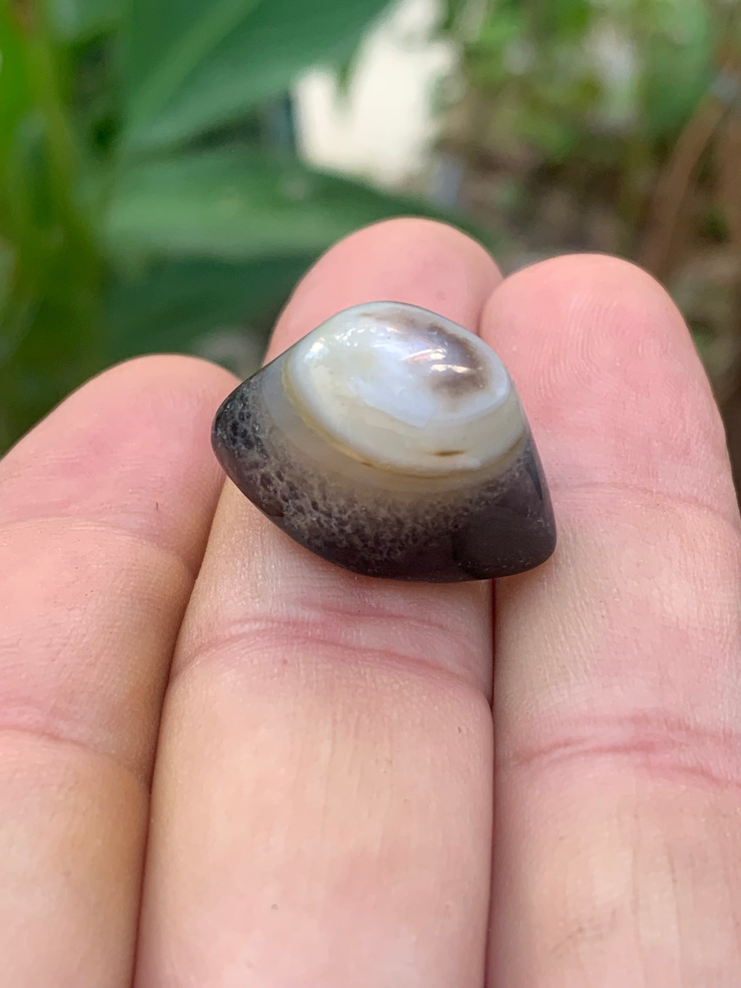 Agate 'Œil de Shiva' ou 'Œil de cyclope' - Au choix, 2 spécimens naturels de 24x15x15mm (6gr.) ou 23x15x15 (7 gr.) !