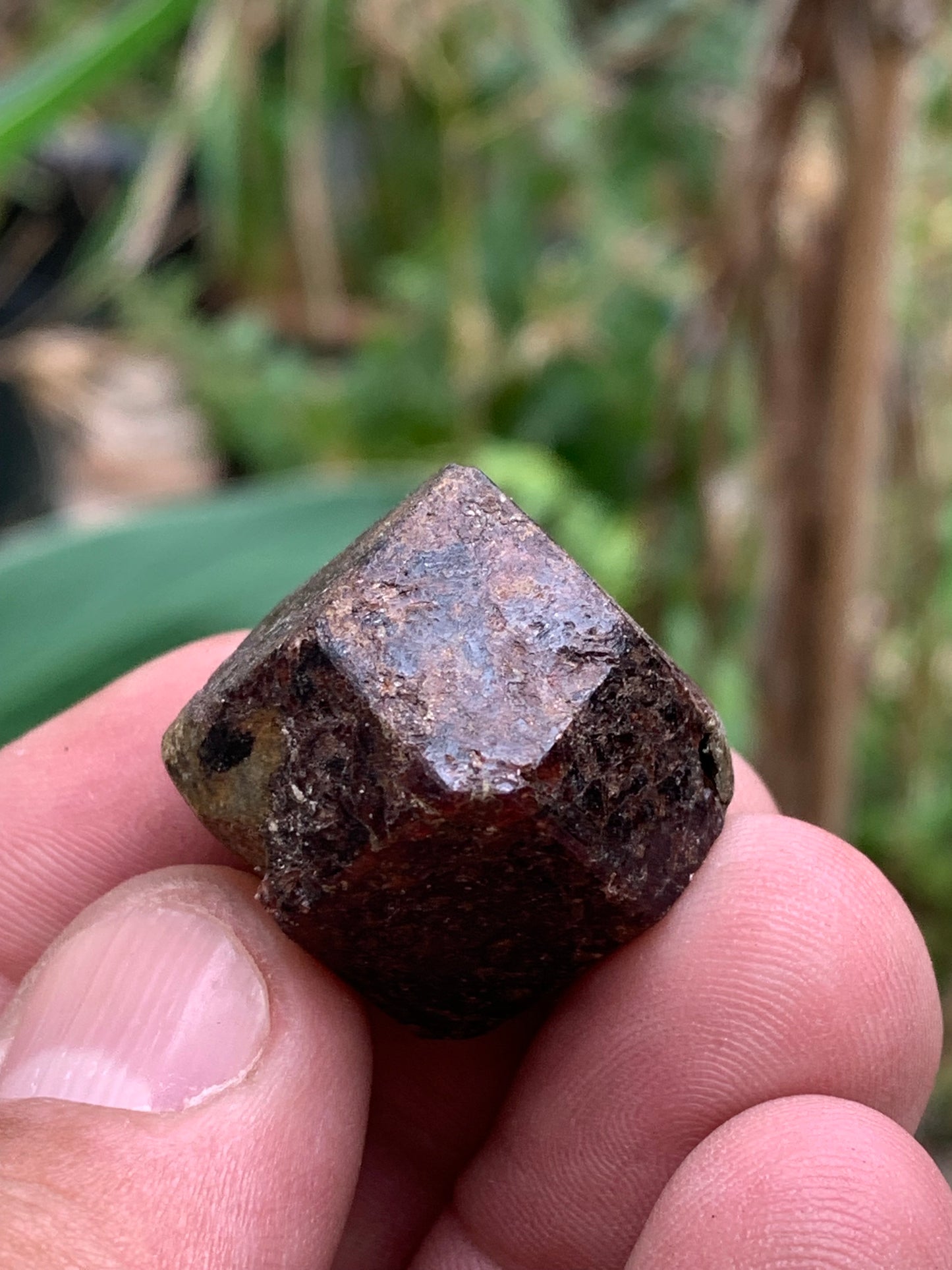 Grenat pyrope, spécimen brut naurel de 30x24x24 mm - 31 gr., très belle pièce, parfait !