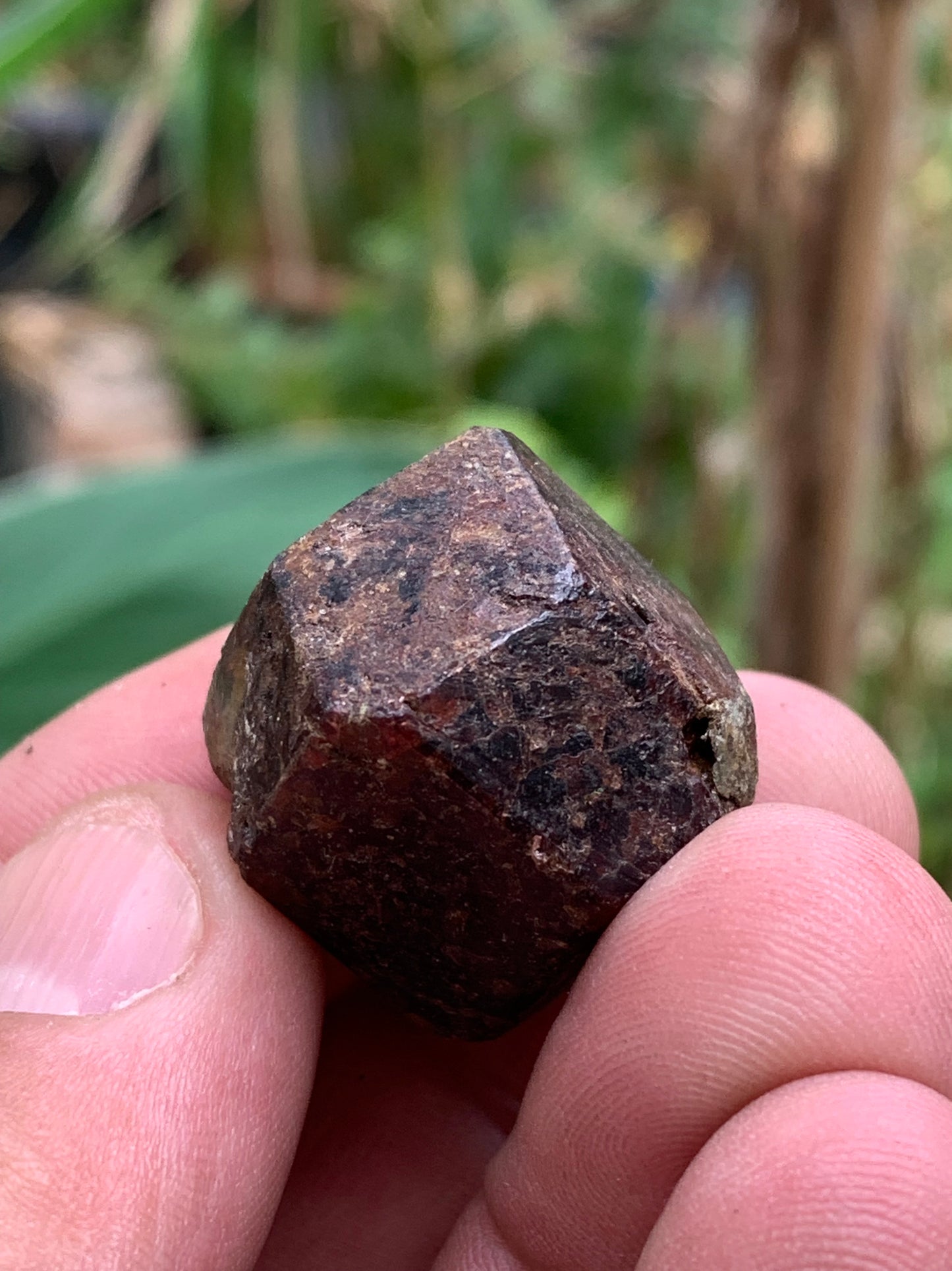 Grenat pyrope, spécimen brut naurel de 30x24x24 mm - 31 gr., très belle pièce, parfait !