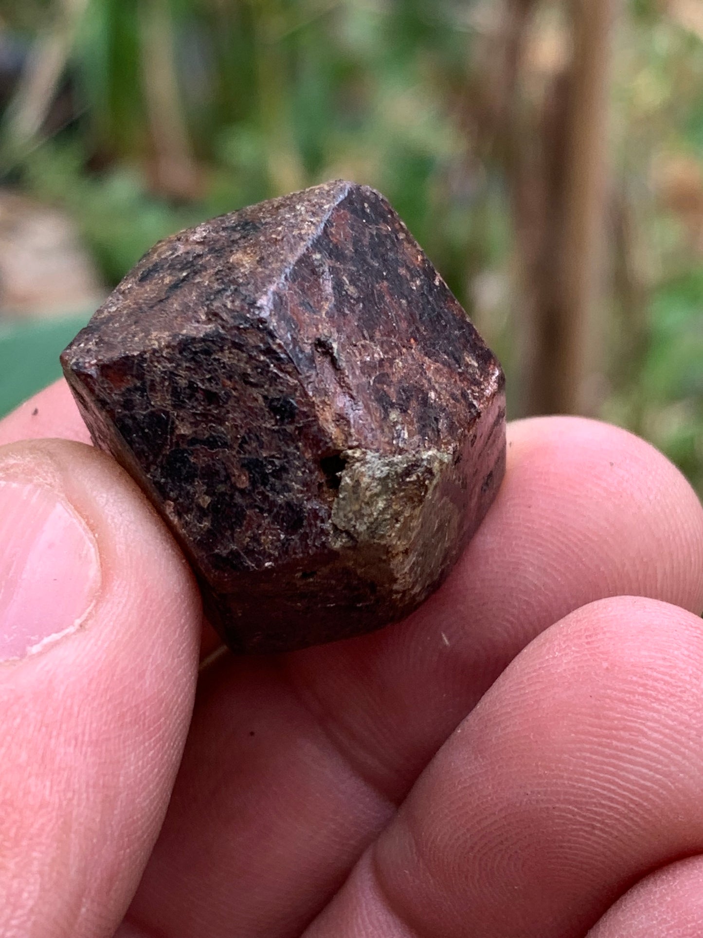 Grenat pyrope, spécimen brut naurel de 30x24x24 mm - 31 gr., très belle pièce, parfait !