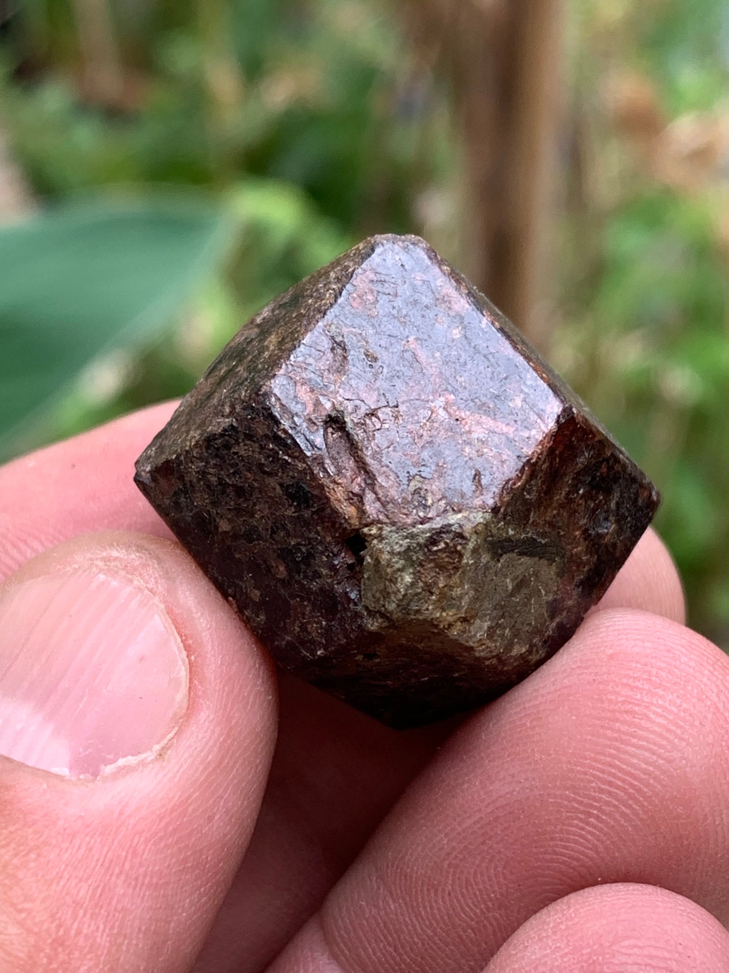 Grenat pyrope, spécimen brut naurel de 30x24x24 mm - 31 gr., très belle pièce, parfait !