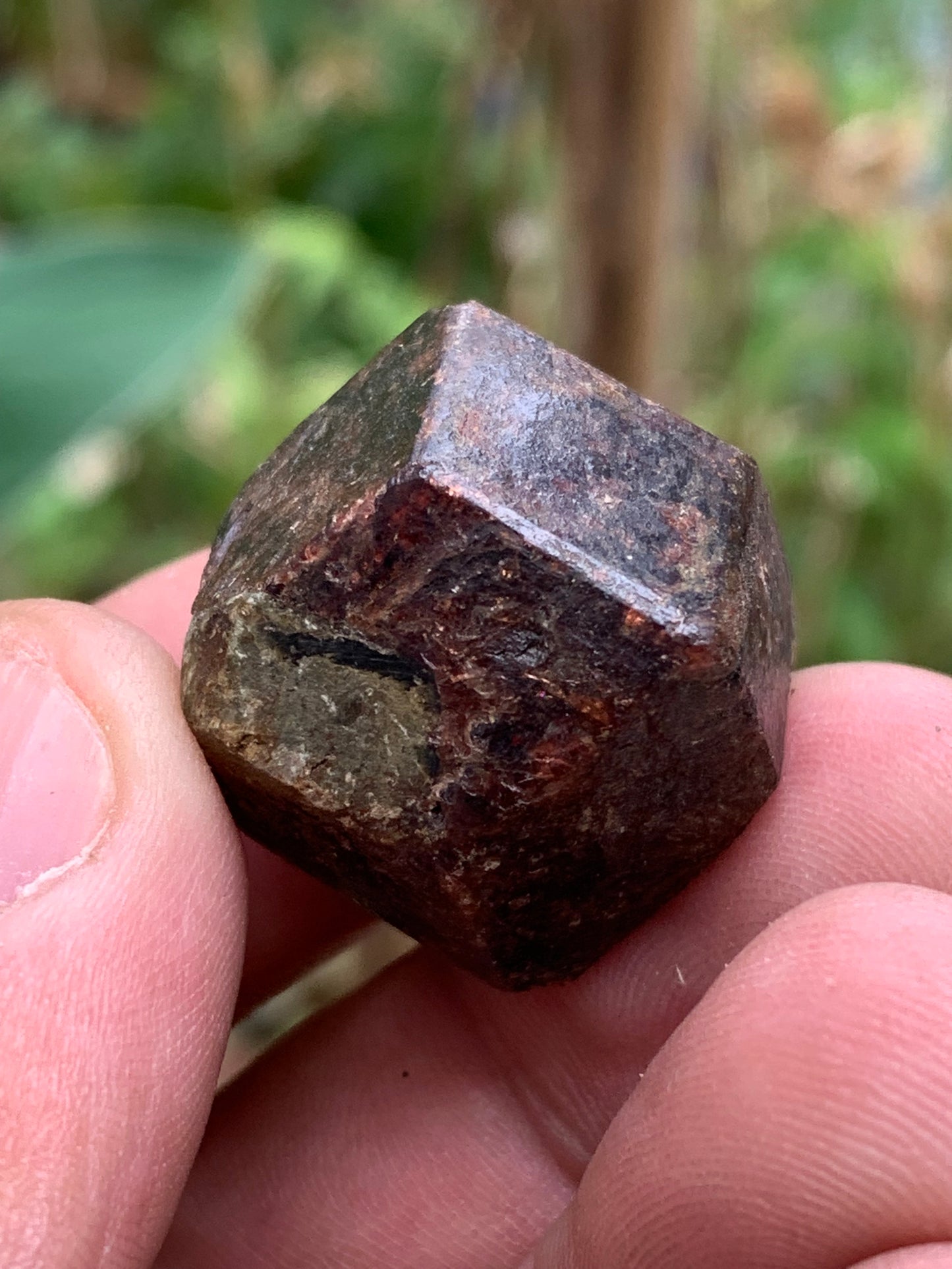 Grenat pyrope, spécimen brut naurel de 30x24x24 mm - 31 gr., très belle pièce, parfait !