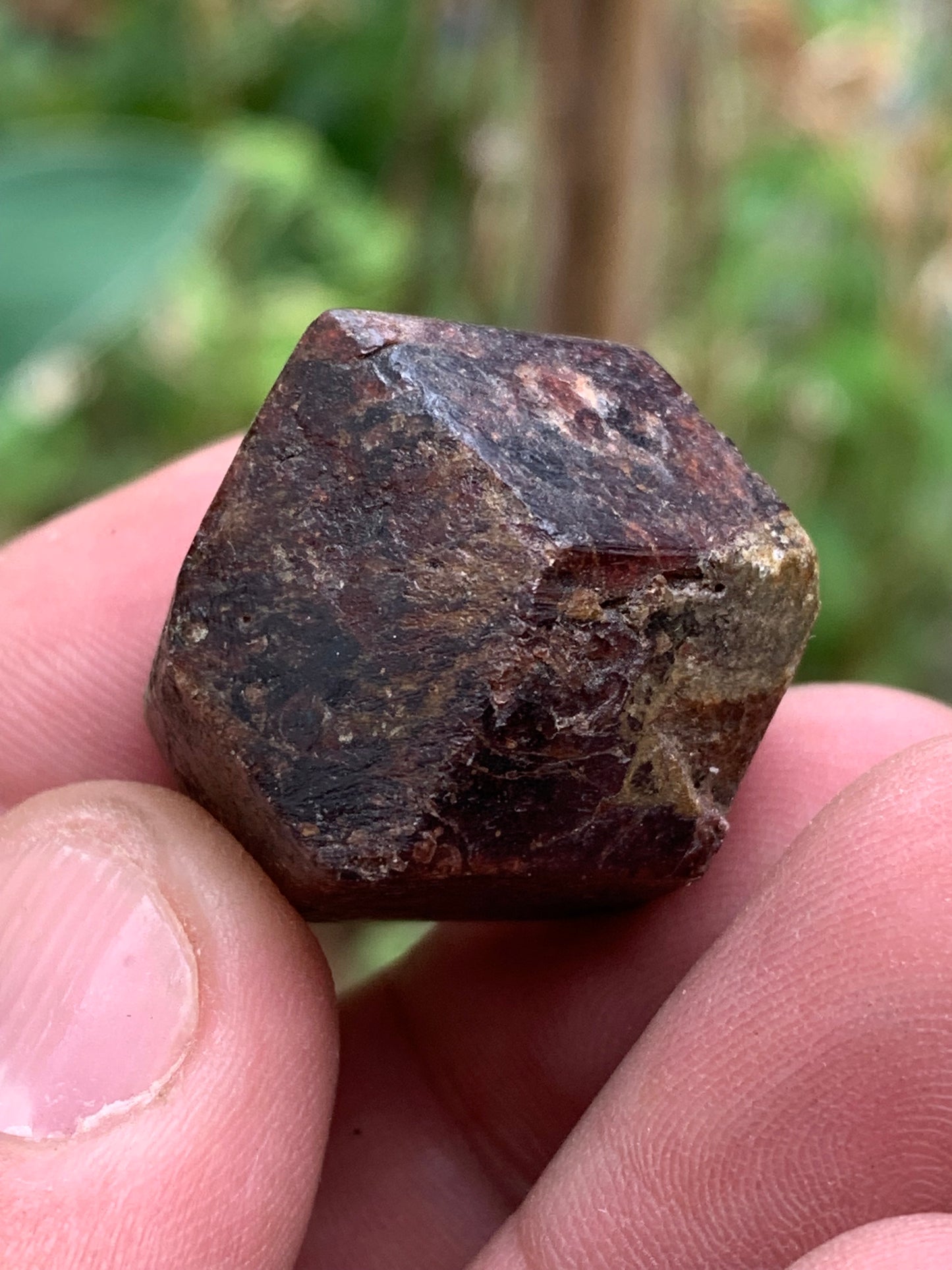 Grenat pyrope, spécimen brut naurel de 30x24x24 mm - 31 gr., très belle pièce, parfait !