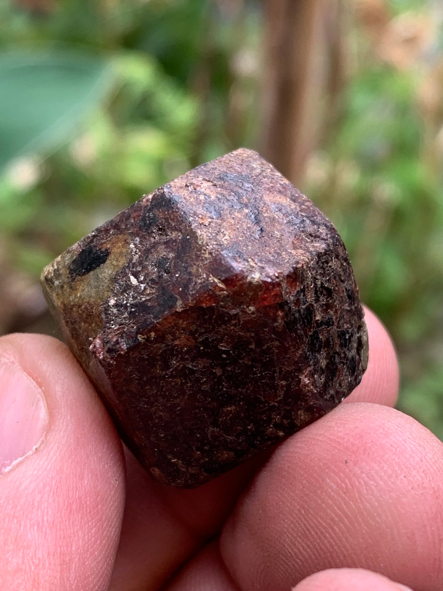 Grenat pyrope, spécimen brut naurel de 30x24x24 mm - 31 gr., très belle pièce, parfait !