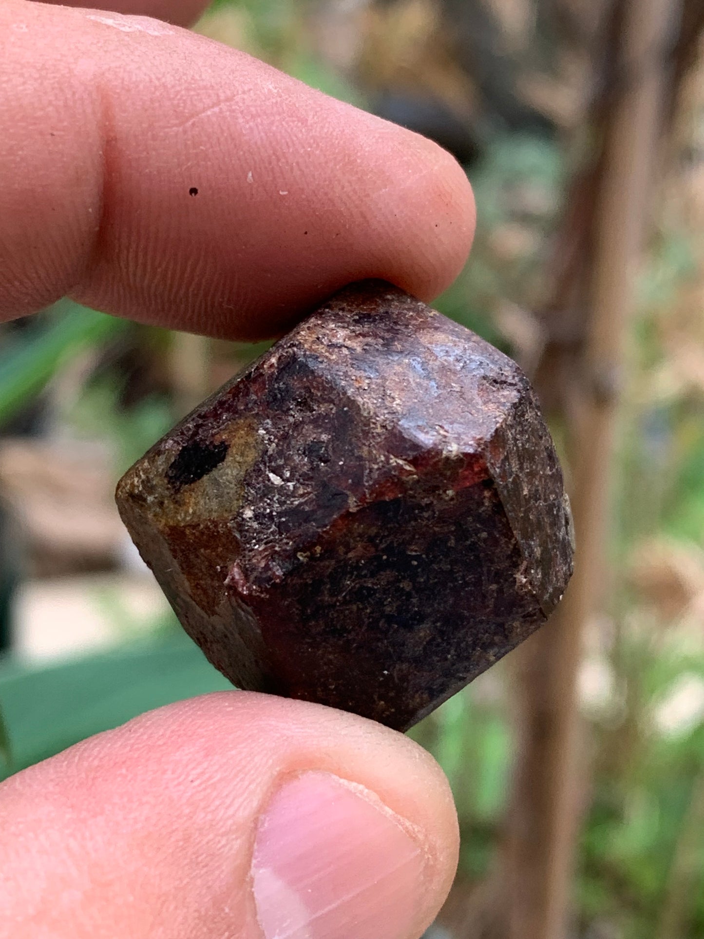 Grenat pyrope, spécimen brut naurel de 30x24x24 mm - 31 gr., très belle pièce, parfait !