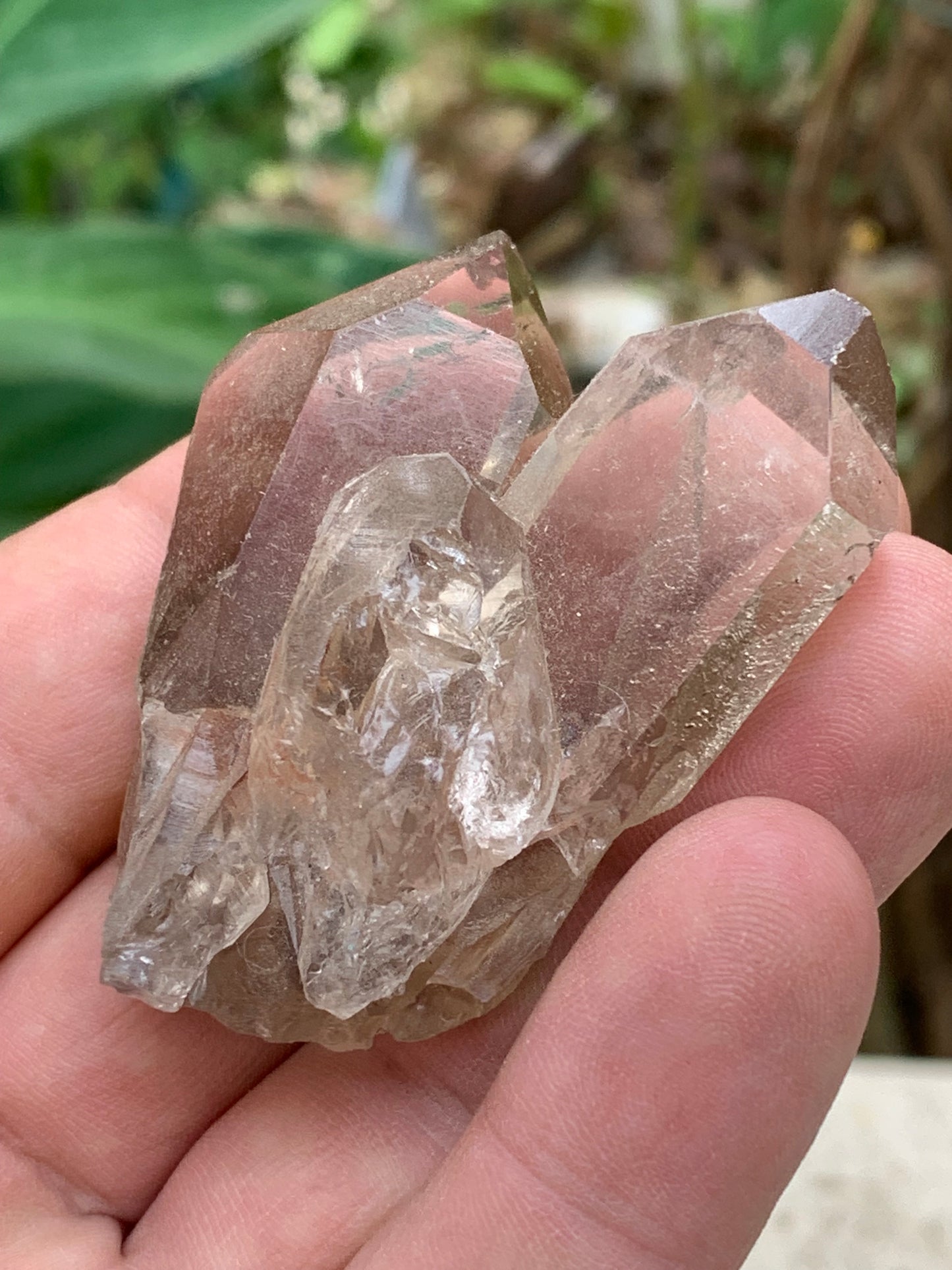 Cristal de roche fumé/ Quartz fumé, pointe naturelle de 60x45x25 mm - 59,2 gr., très belle qualité, très belle pureté !