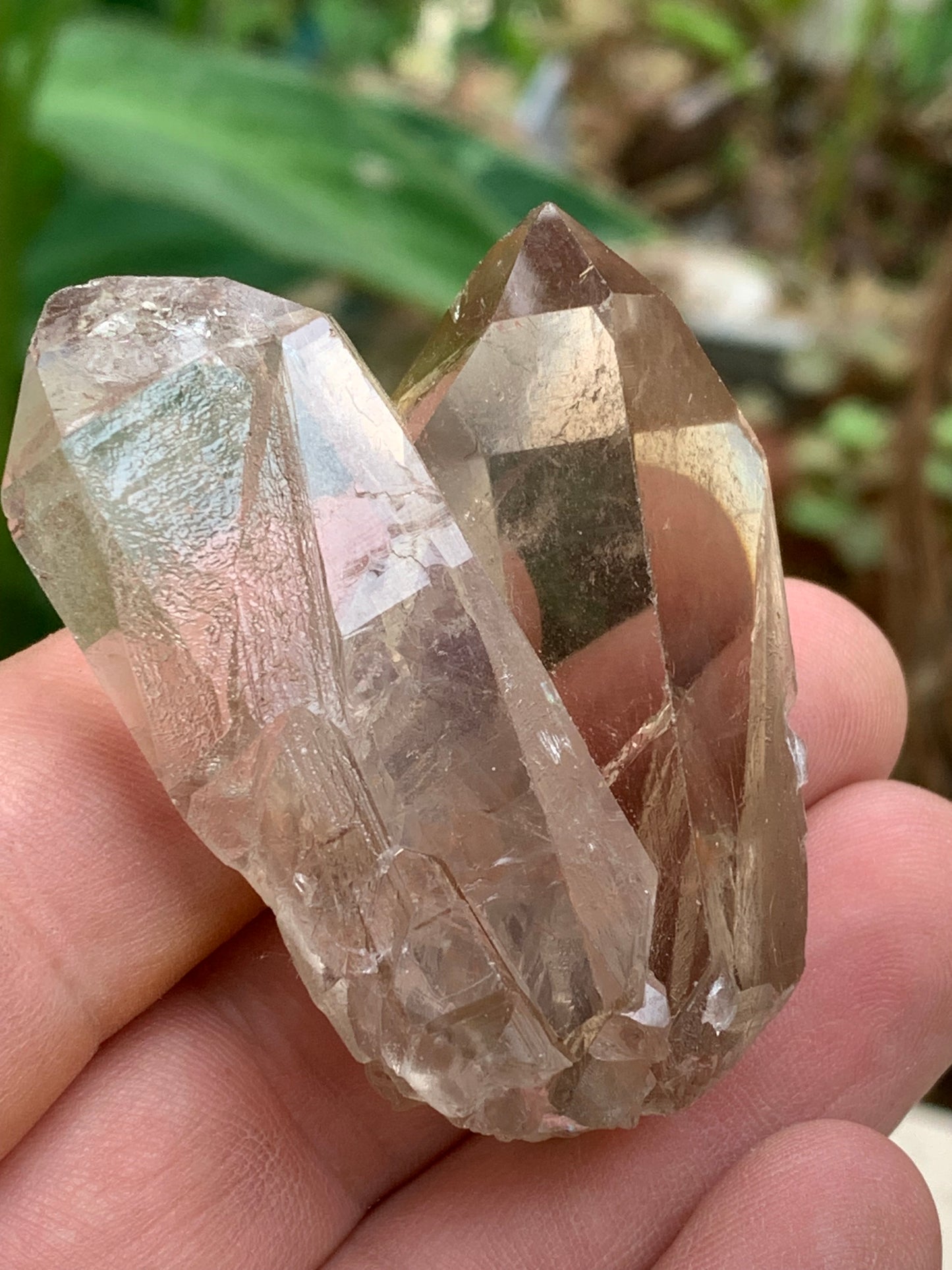 Cristal de roche fumé/ Quartz fumé, pointe naturelle de 60x45x25 mm - 59,2 gr., très belle qualité, très belle pureté !