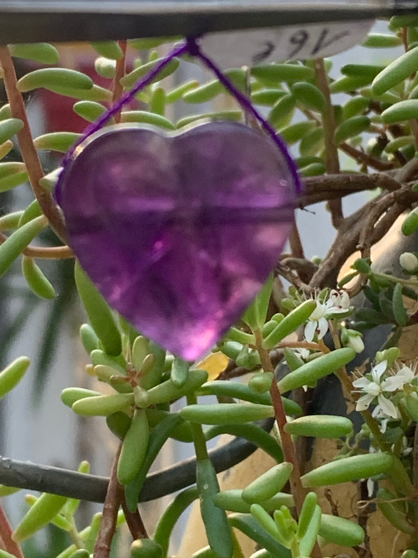 Améthyste, pendentif (percement latéral), de 21mm de hauteur x 21 de largeur x 8 d'épaisseur. Vendu avec cordon réglable de couleur noire offert !