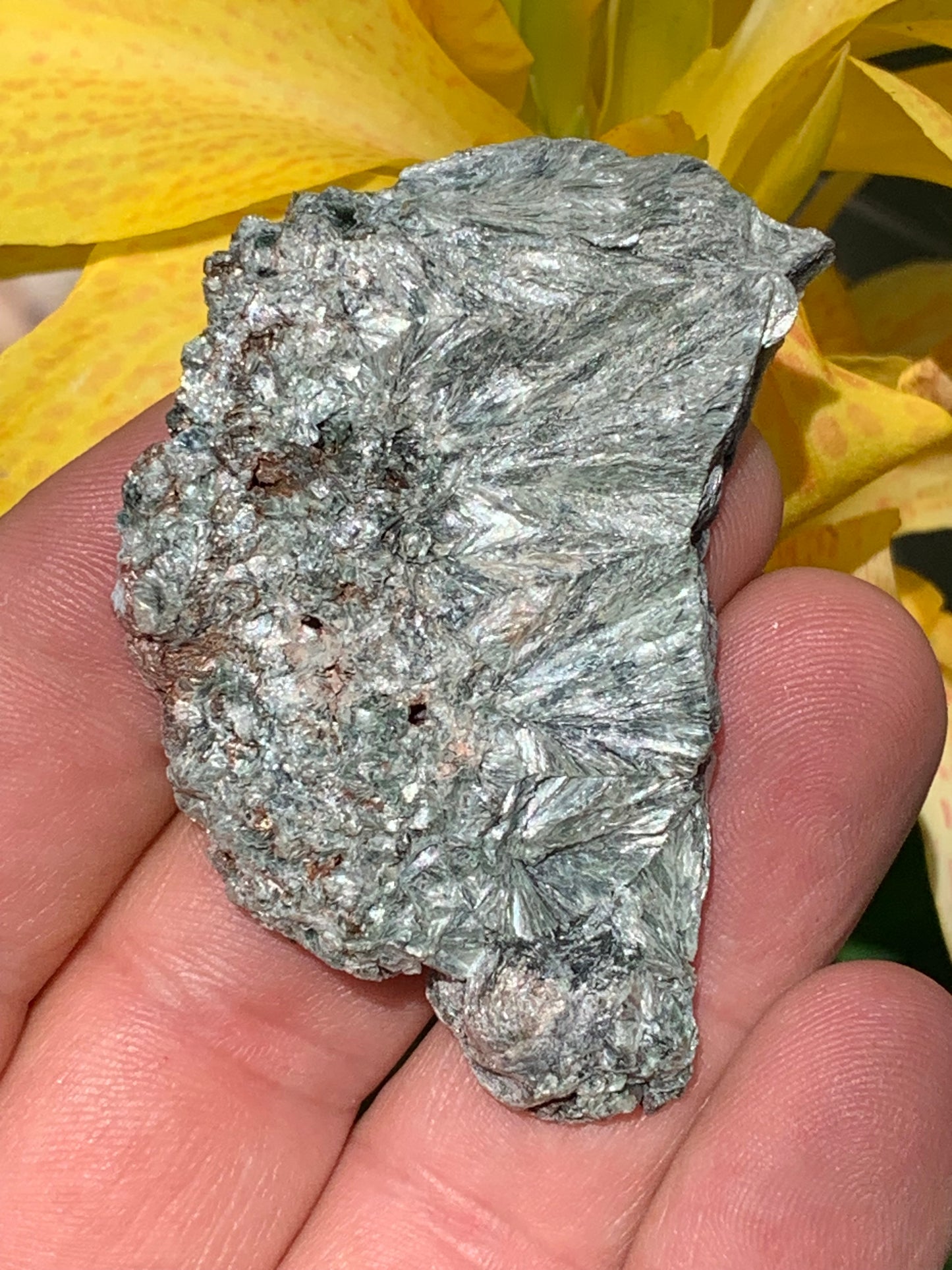Séraphinite, spécimen avec 1 face polie et 1 face brute de 60mm de hauteur x 37 de largeur x 10 d'épaisseur. Superbe pièce pour bijouterie ou collection !