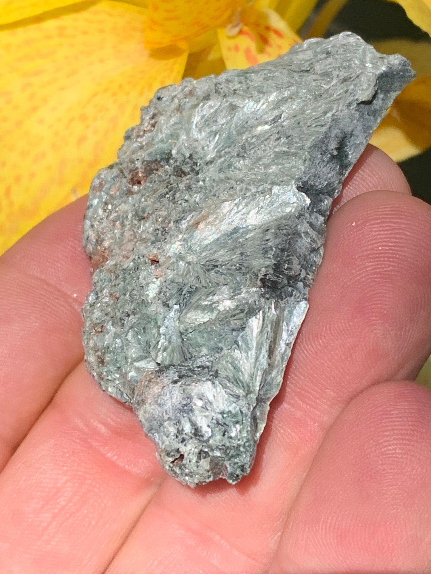 Séraphinite, spécimen avec 1 face polie et 1 face brute de 60mm de hauteur x 37 de largeur x 10 d'épaisseur. Superbe pièce pour bijouterie ou collection !