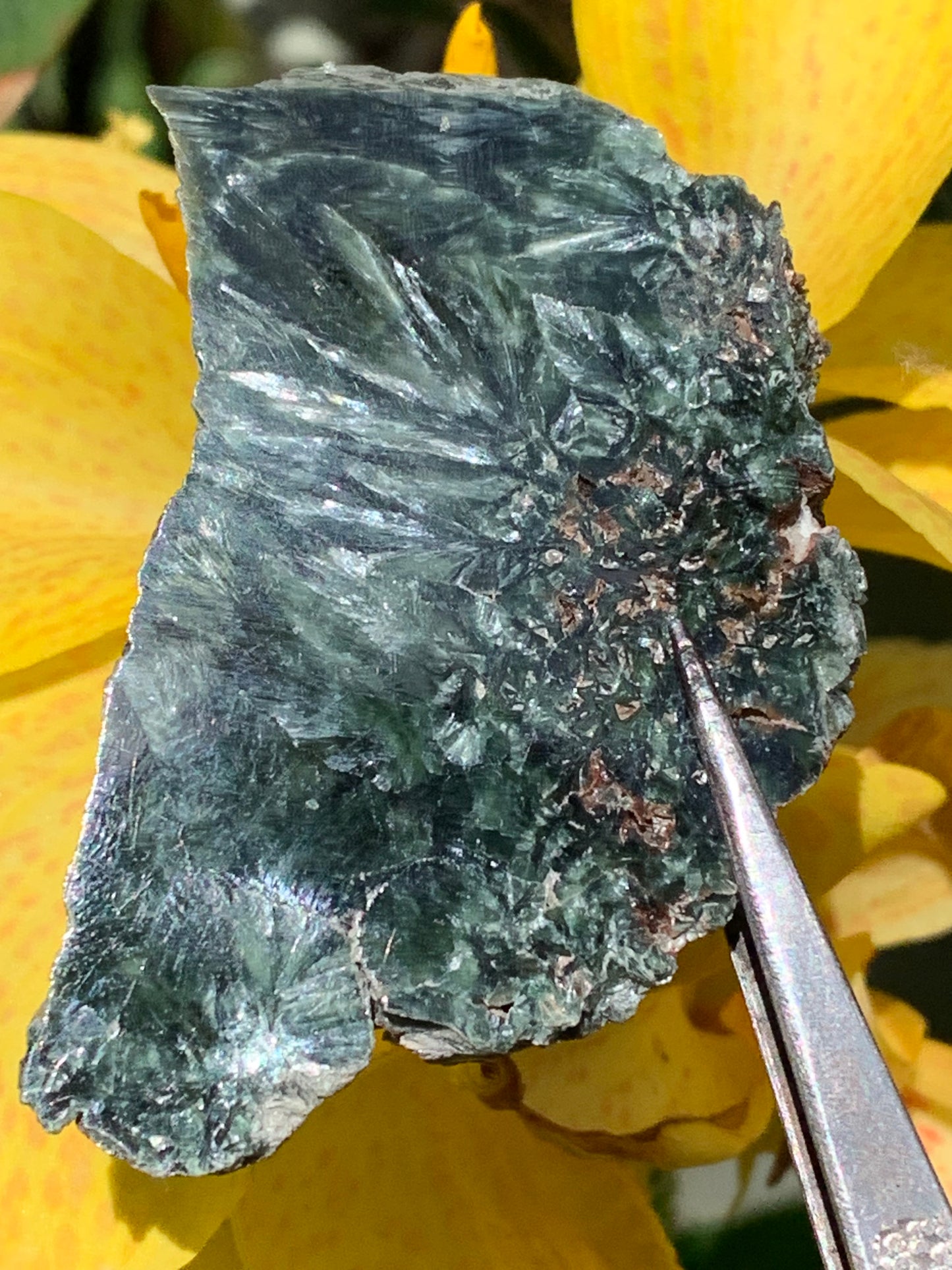Séraphinite, spécimen avec 1 face polie et 1 face brute de 60mm de hauteur x 37 de largeur x 10 d'épaisseur. Superbe pièce pour bijouterie ou collection !