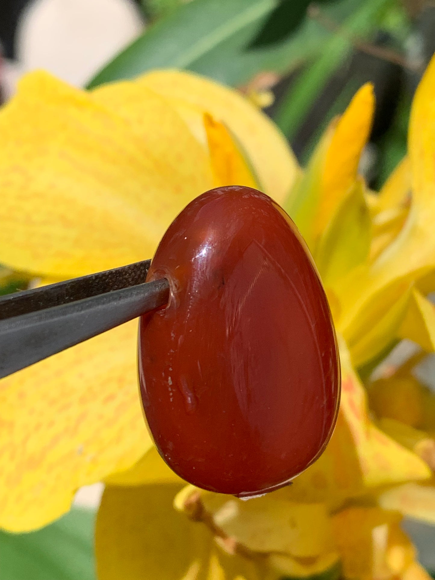 Carnelian, pendant measuring 31mm high x 23mm wide x 12mm thick. Sold with an adjustable black cord!