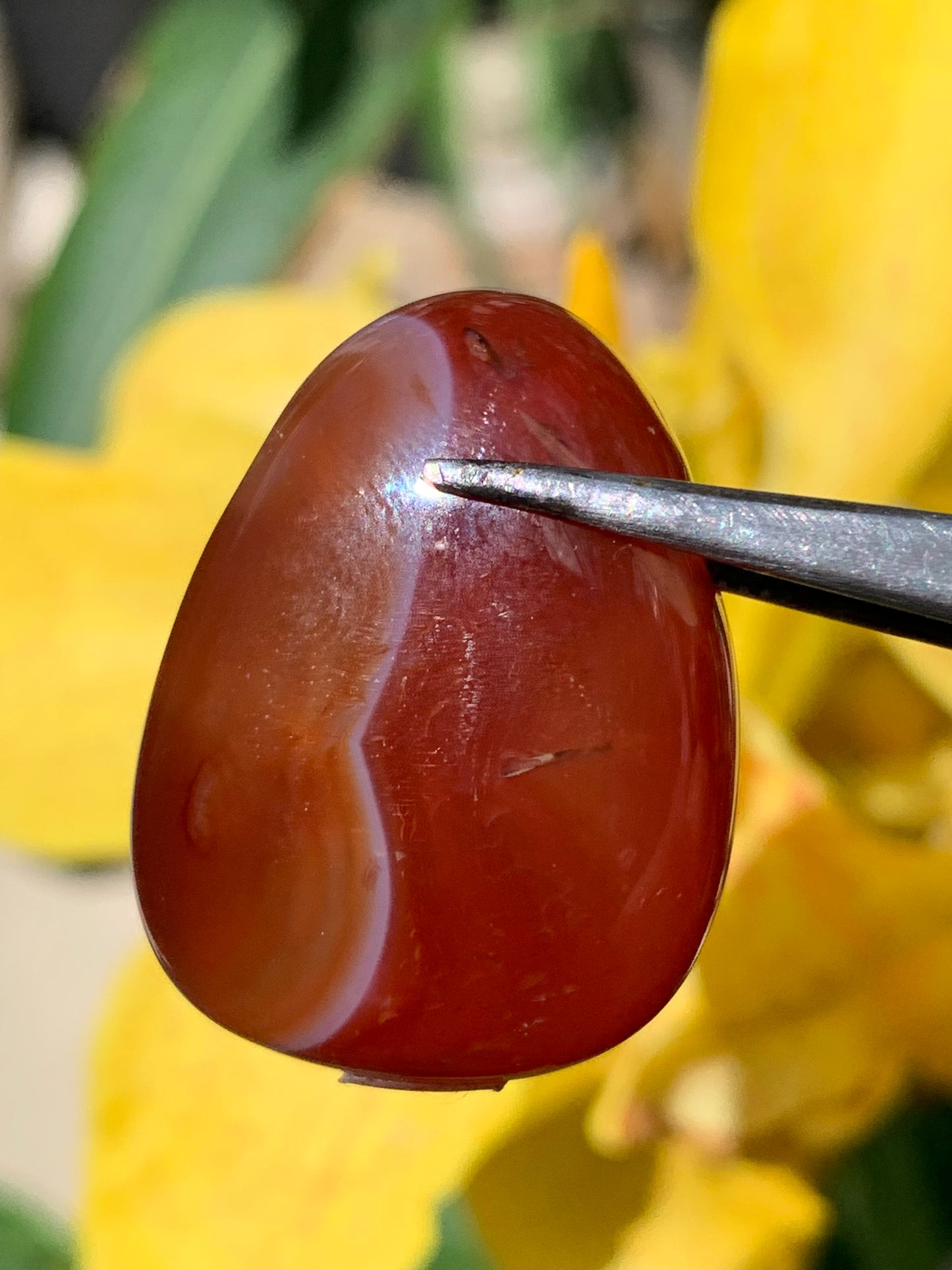 Carnelian, pendant measuring 31mm high x 23mm wide x 12mm thick. Sold with an adjustable black cord!