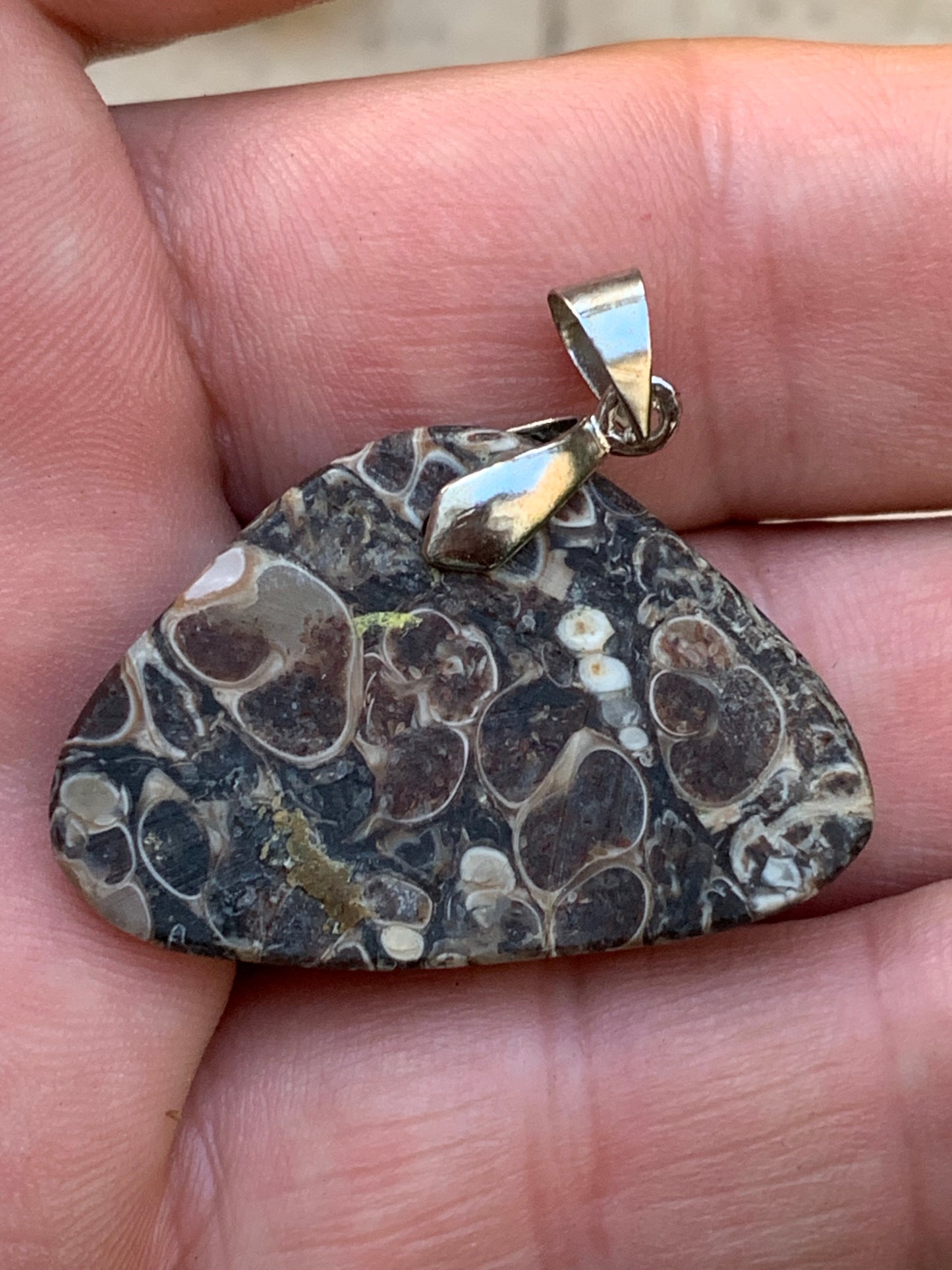 Agate turitelle/ fossile, pendentif de 36mm de hauteur x 36 de largeur x 11 d'épaisseur. Vendu avec cordon réglable de couleur noire !