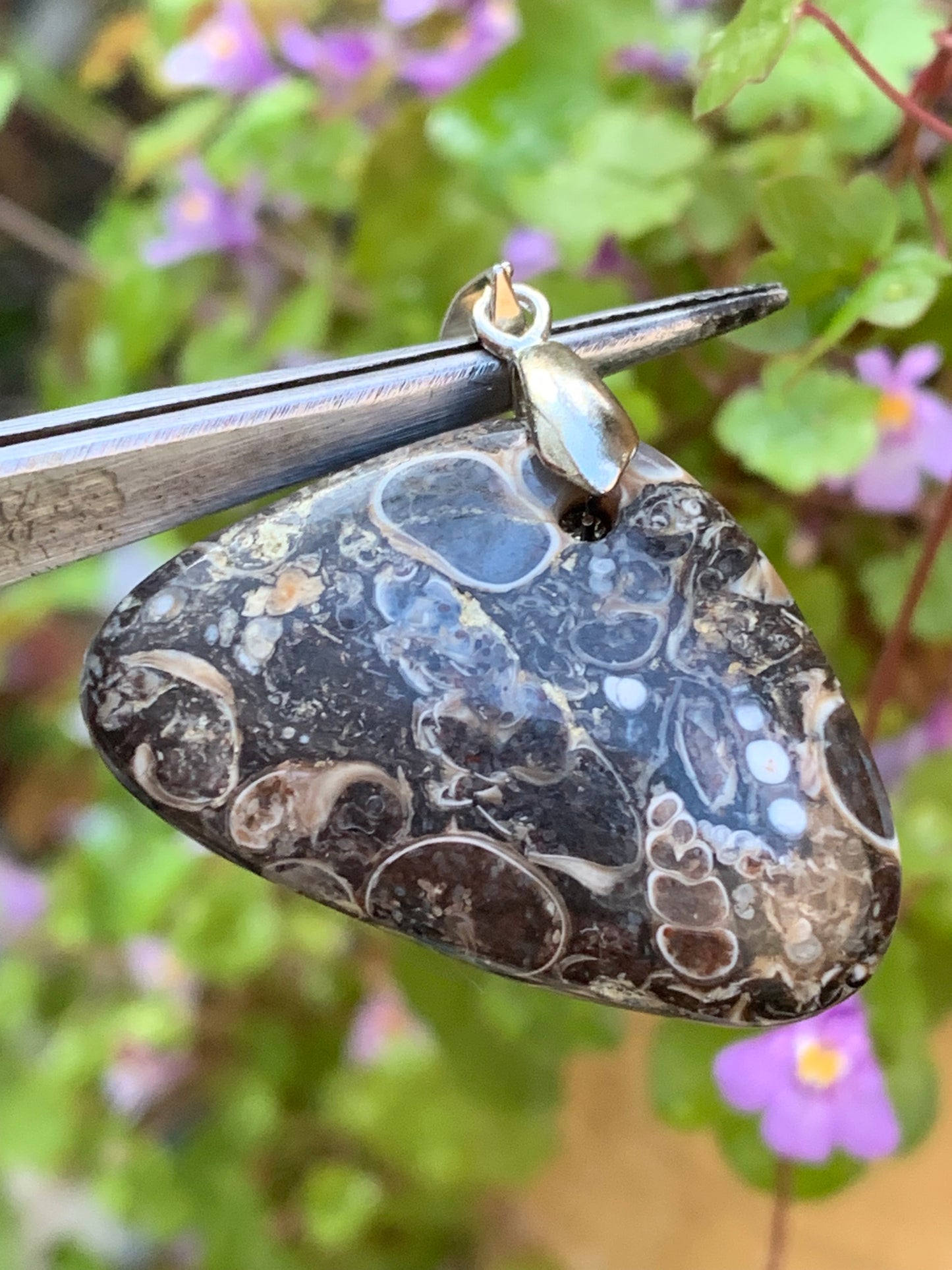 Agate turitelle/ fossile, pendentif de 36mm de hauteur x 36 de largeur x 11 d'épaisseur. Vendu avec cordon réglable de couleur noire !