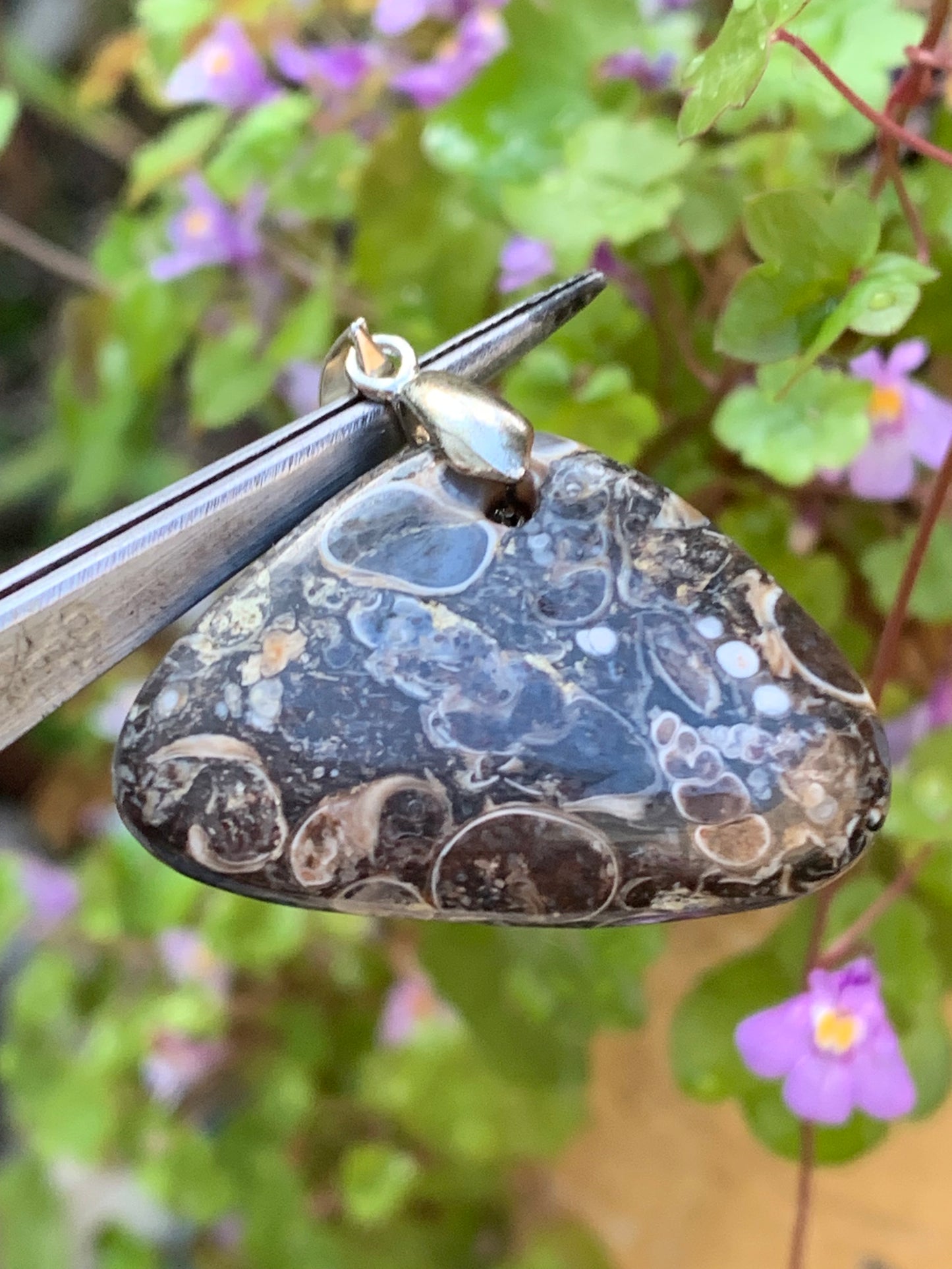 Agate turitelle/ fossile, pendentif de 36mm de hauteur x 36 de largeur x 11 d'épaisseur. Vendu avec cordon réglable de couleur noire !