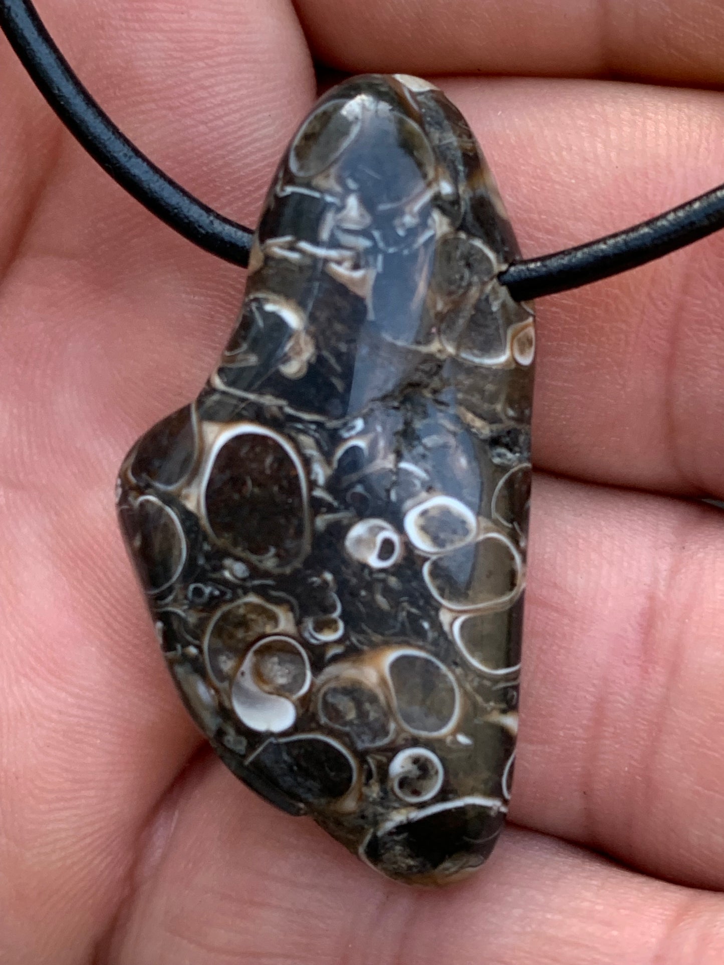 Agate turitelle/ fossile, pendentif de 42mm de hauteur x 22 de largeur x 11 d'épaisseur. Vendu avec cordon réglable de couleur noire !
