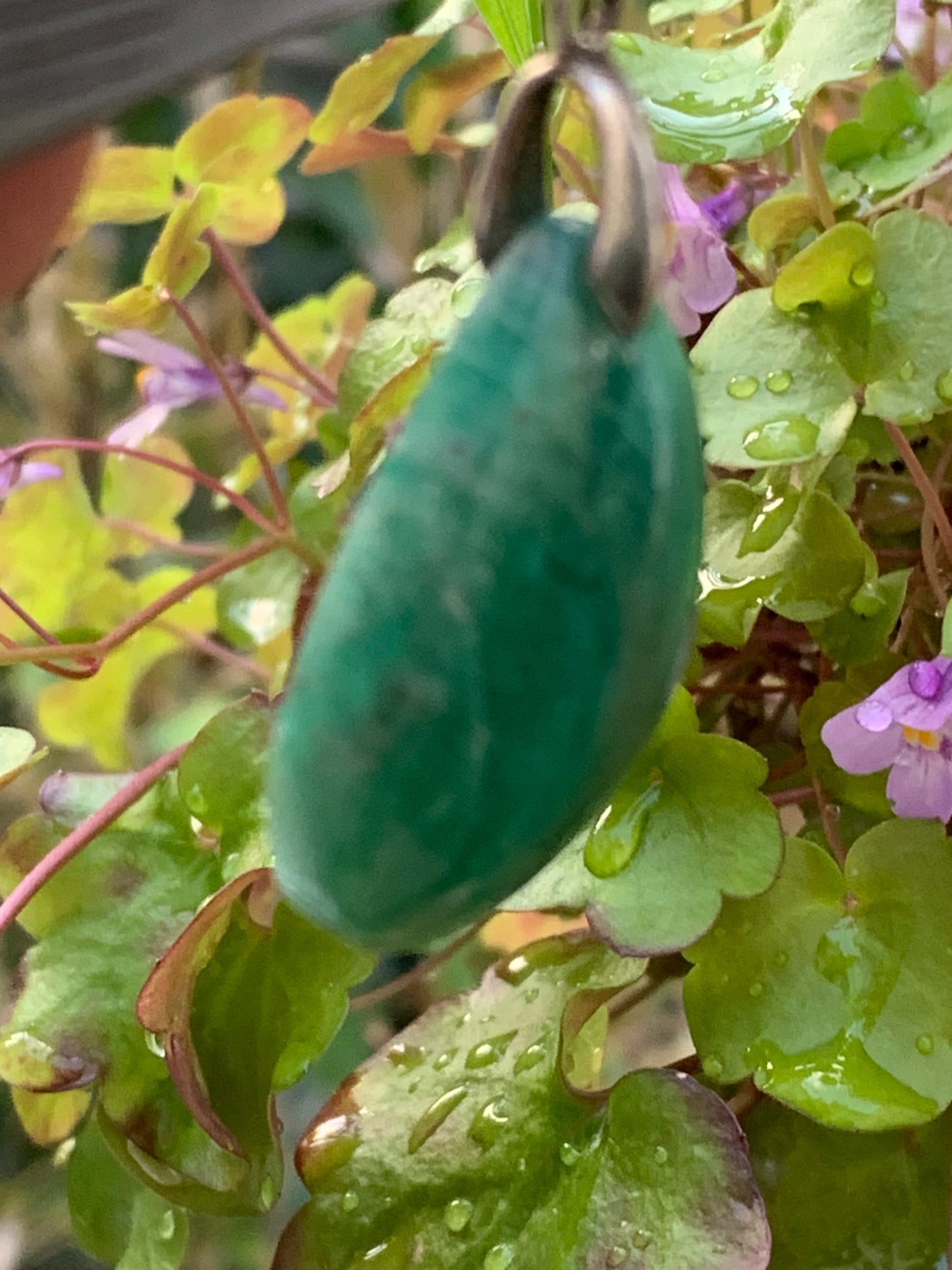 Amazonite, pendentif de 40mm de hauteur x 24 de largeur x 10 d'épaisseur. Vendu avec cordon réglable de couleur noire offert !