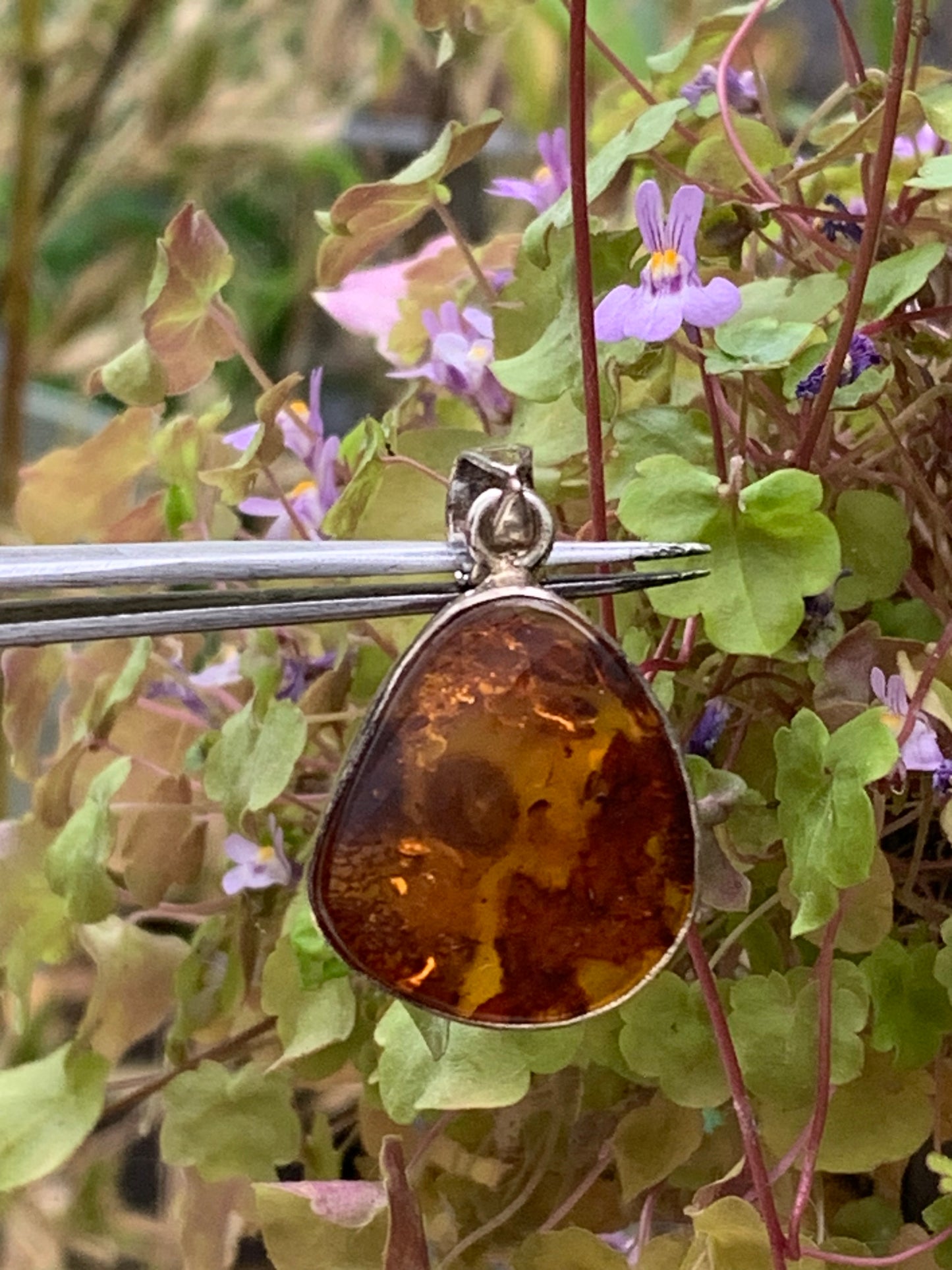 Amber, superb silver pendant measuring 35x22x8 mm. Sold with a sliding (adjustable) black leather cord from 40 to 70 cm!