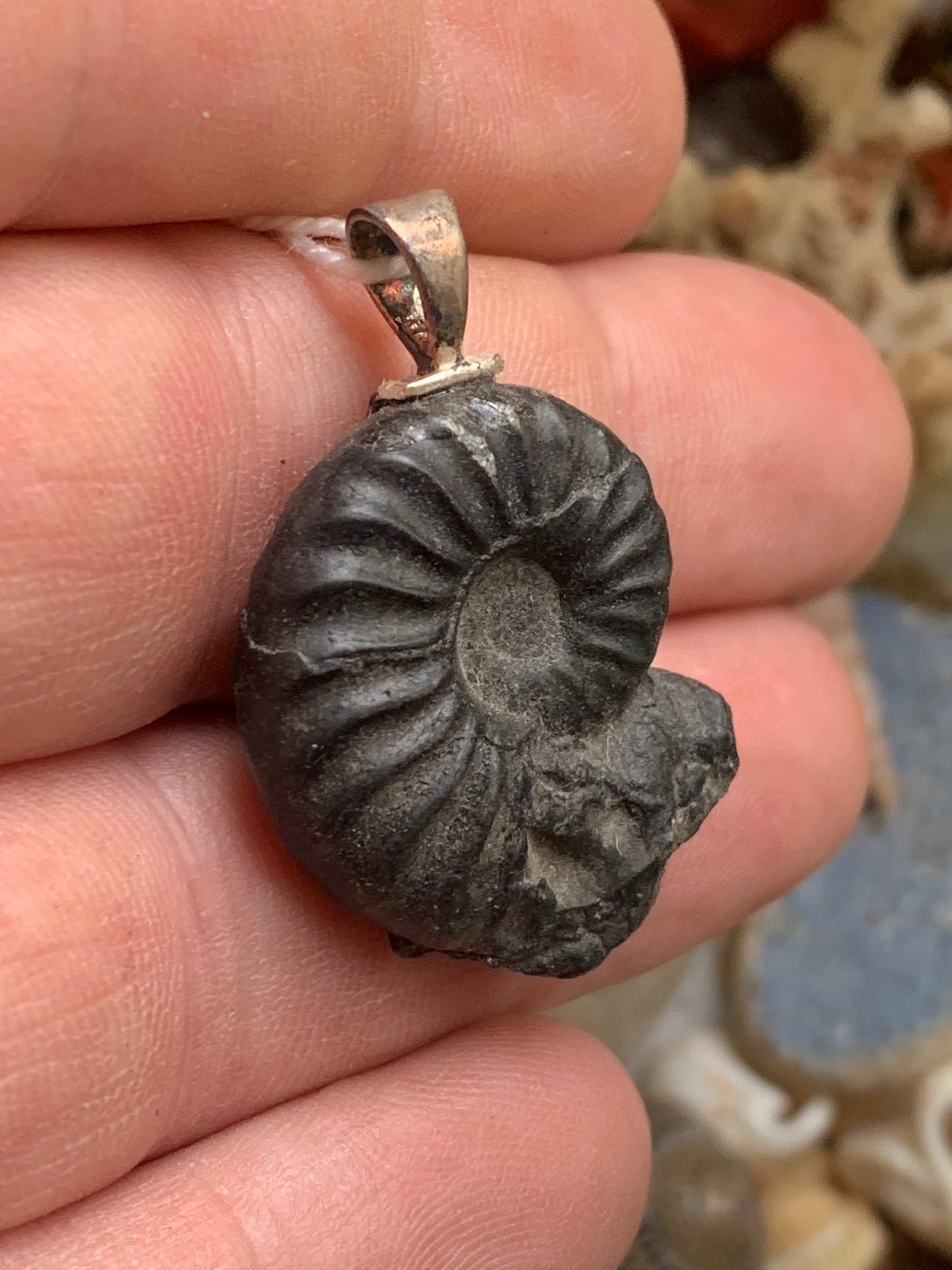 Ammonite, pendentif avec support en Argent 025 rhodié. Taille de 35 millimètres x 22 x 9. Vendu avec ou sans cordon noir et réglable de 60 cm