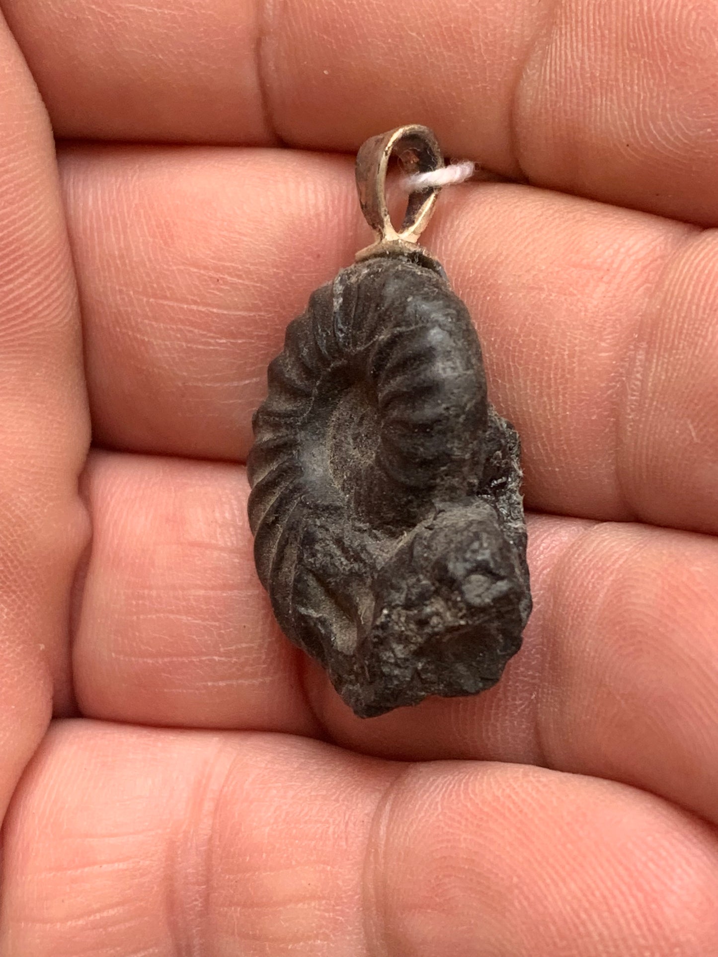 Ammonite, pendentif avec support en Argent 025 rhodié. Taille de 35 millimètres x 22 x 9. Vendu avec ou sans cordon noir et réglable de 60 cm