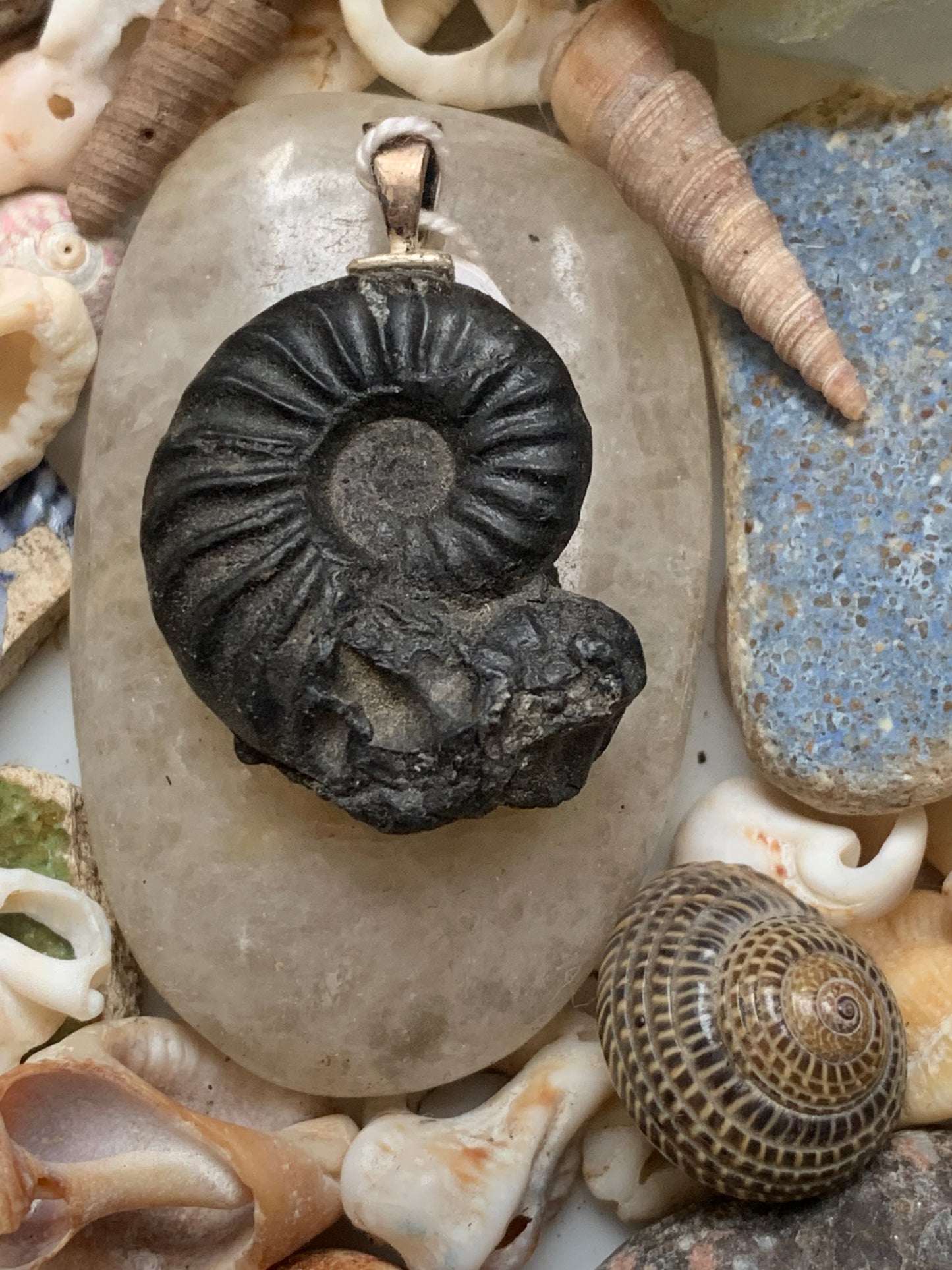 Ammonite, pendentif avec support en Argent 025 rhodié. Taille de 35 millimètres x 22 x 9. Vendu avec ou sans cordon noir et réglable de 60 cm