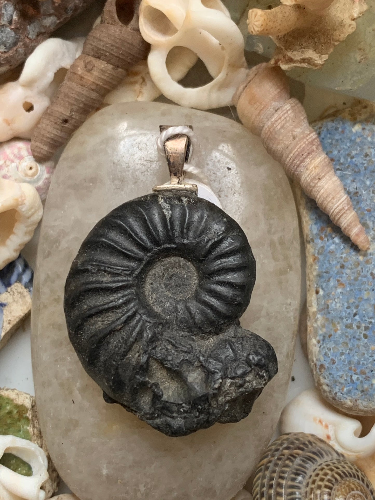 Ammonite, pendentif avec support en Argent 025 rhodié. Taille de 35 millimètres x 22 x 9. Vendu avec ou sans cordon noir et réglable de 60 cm