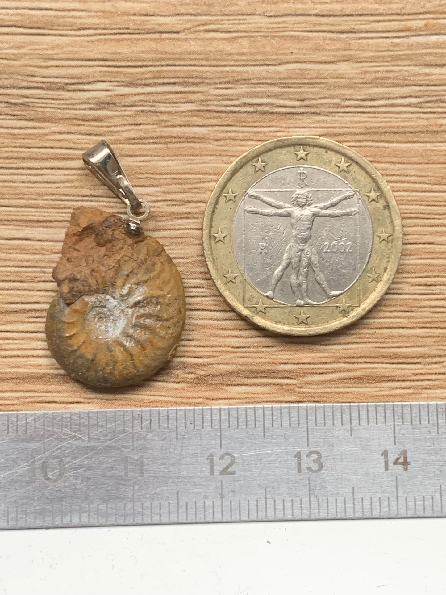 Ammonite, pendentif de taille de 30 millimètres x 15 x 6. Vendu avec ou sans cordon noir et réglable de 60 cm !