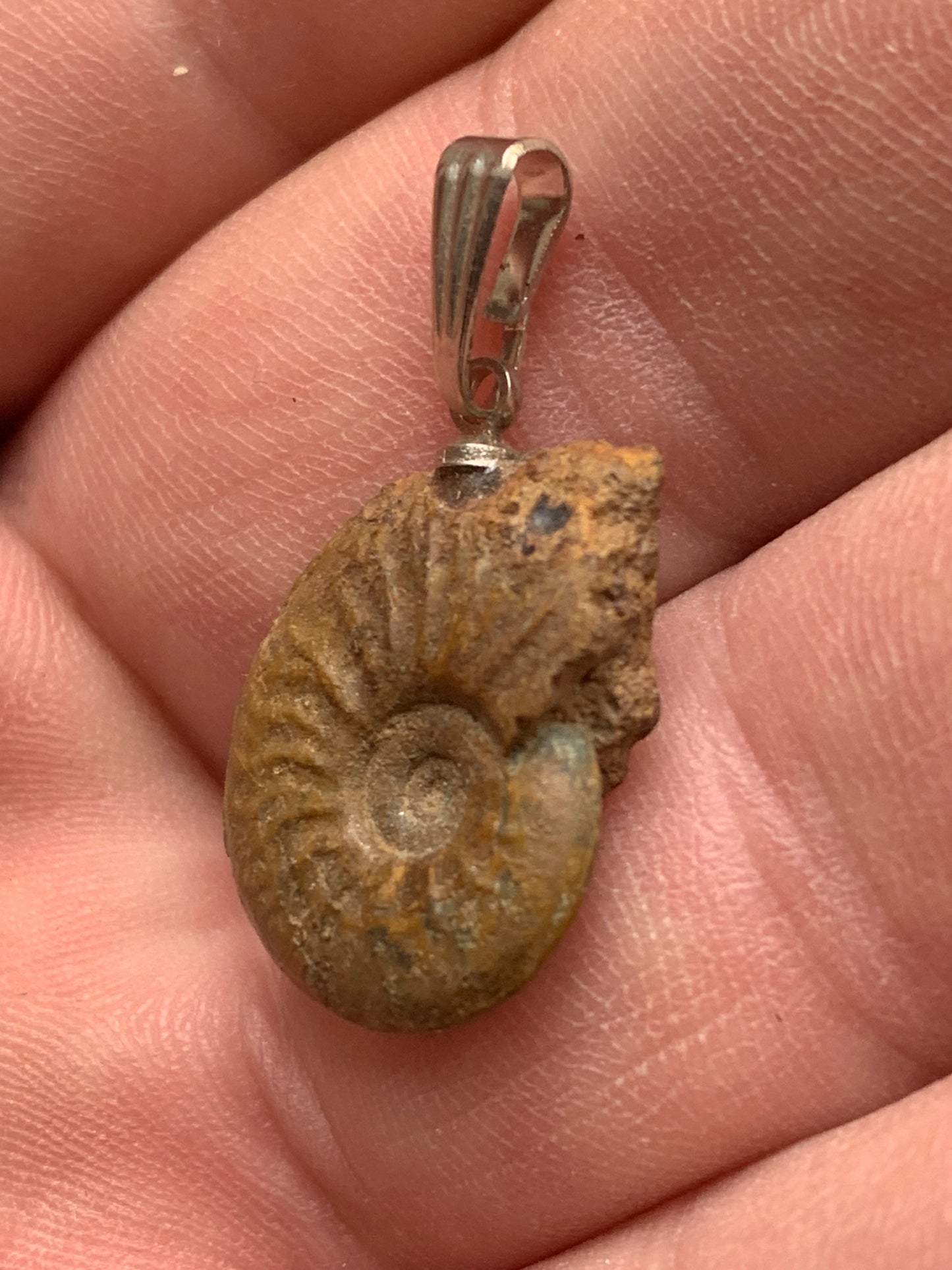 Ammonite, pendentif de taille de 30 millimètres x 15 x 6. Vendu avec ou sans cordon noir et réglable de 60 cm !