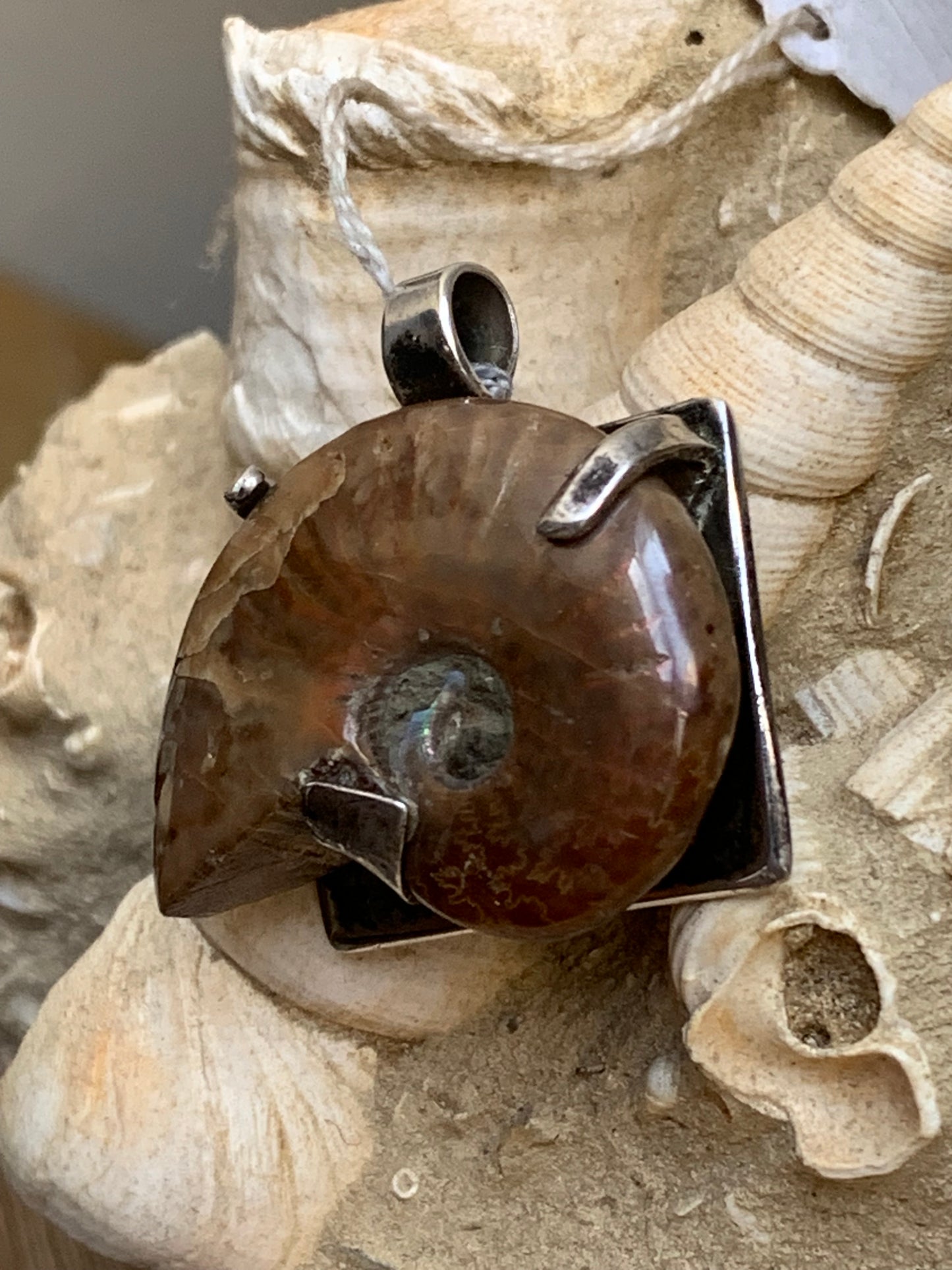 Ammonite nacré, joli pendentif avec structure en Argent 025 rhodié. Taille de 31 millimètres x 30 x 12. Vendu avec ou sans cordon noir et réglable de 60 cm !