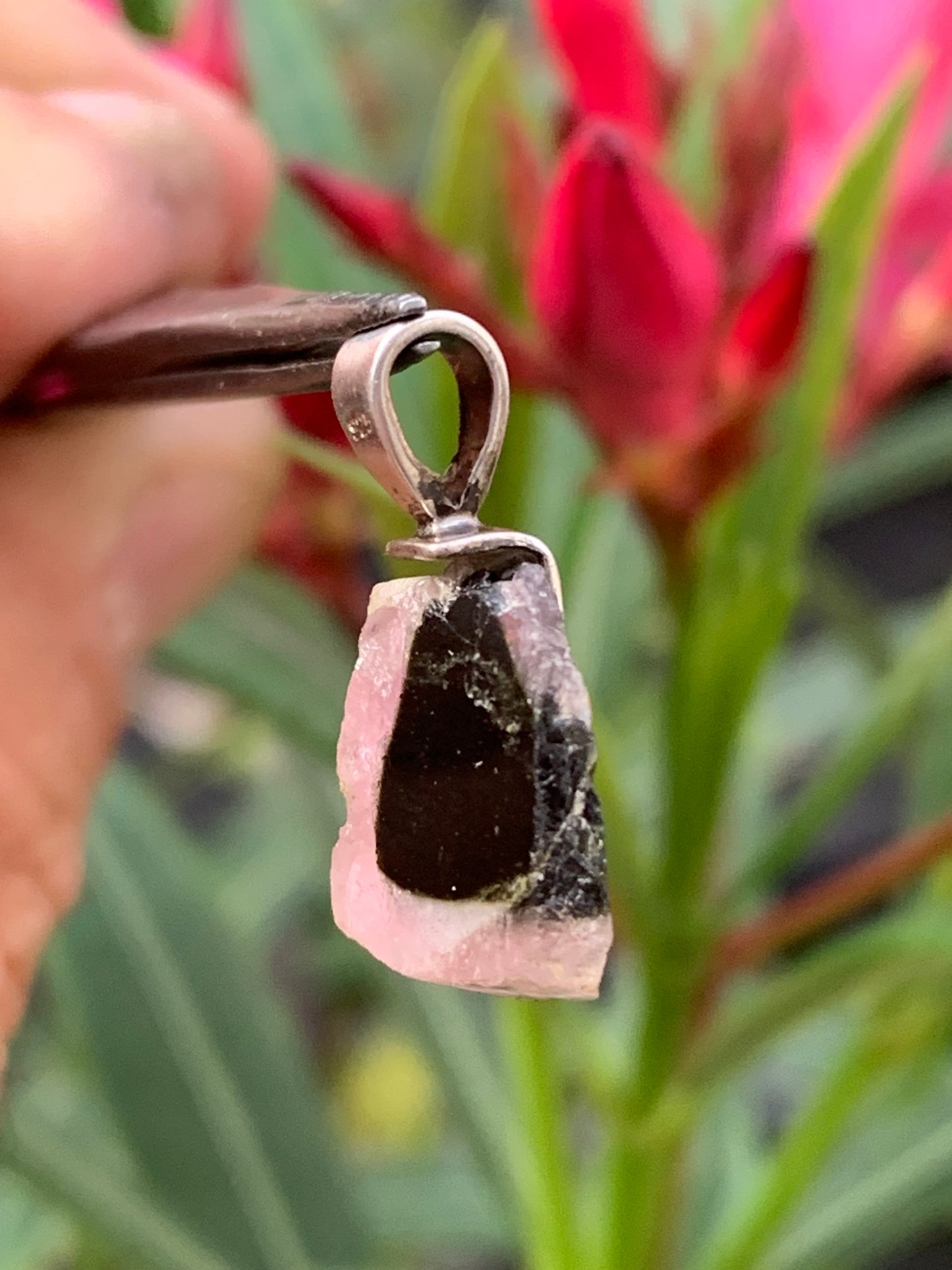 Tourmaline melon d'eau/ pastèque, pendentif en Argent fait par G & Z de 23 mm de hauteur x 12 de largeur x 6. Vendu avec cordon réglable de couleur noire !