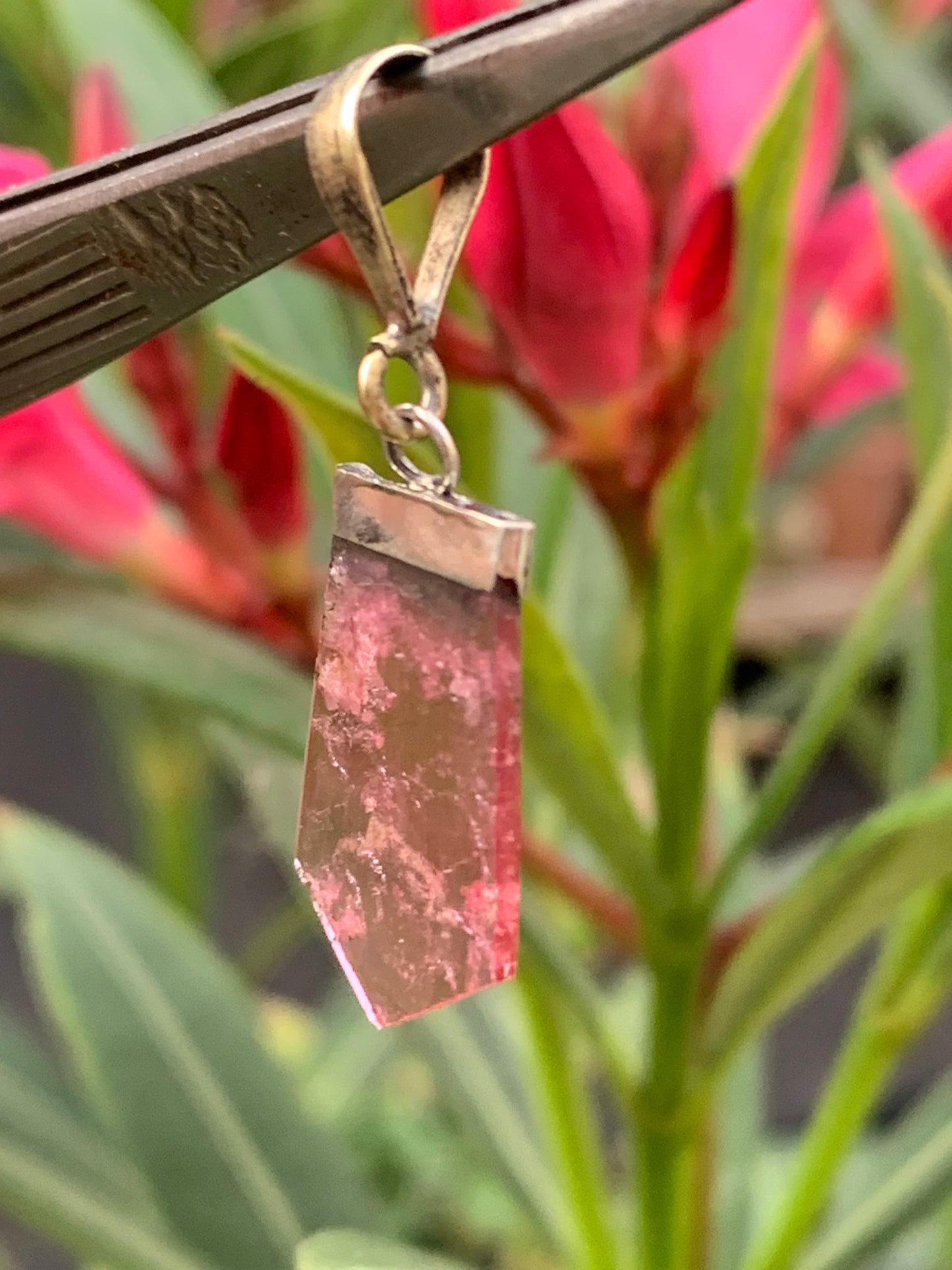 Elbaite watermelon tourmaline, silver pendant 36mm high x 14mm wide x 2mm. Sold with adjustable black cord!