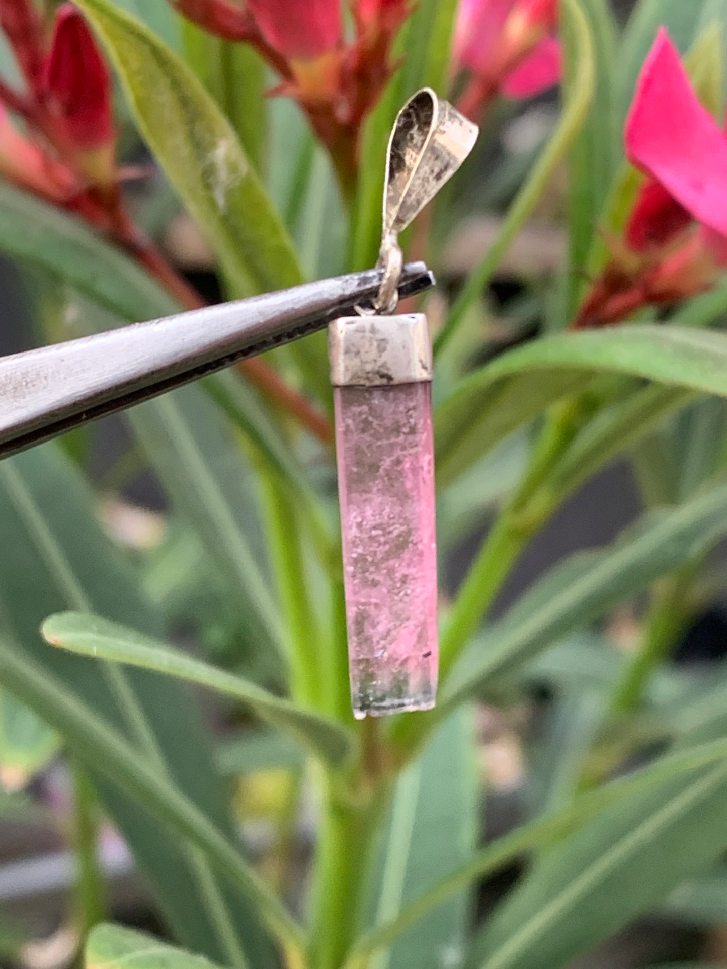 Elbaite watermelon tourmaline, silver pendant 36mm high x 6mm wide x 2mm. Sold with adjustable black cord!