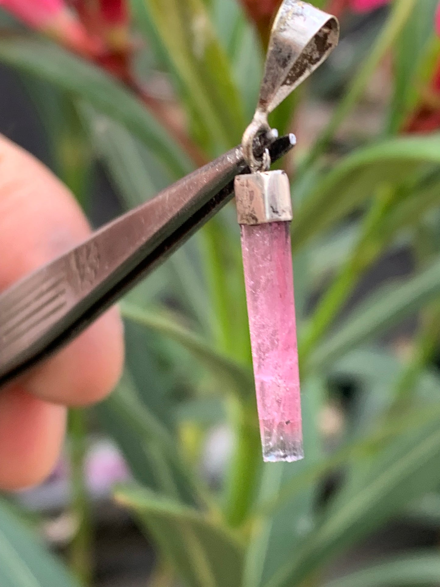 Elbaite watermelon tourmaline, silver pendant 36mm high x 6mm wide x 2mm. Sold with adjustable black cord!