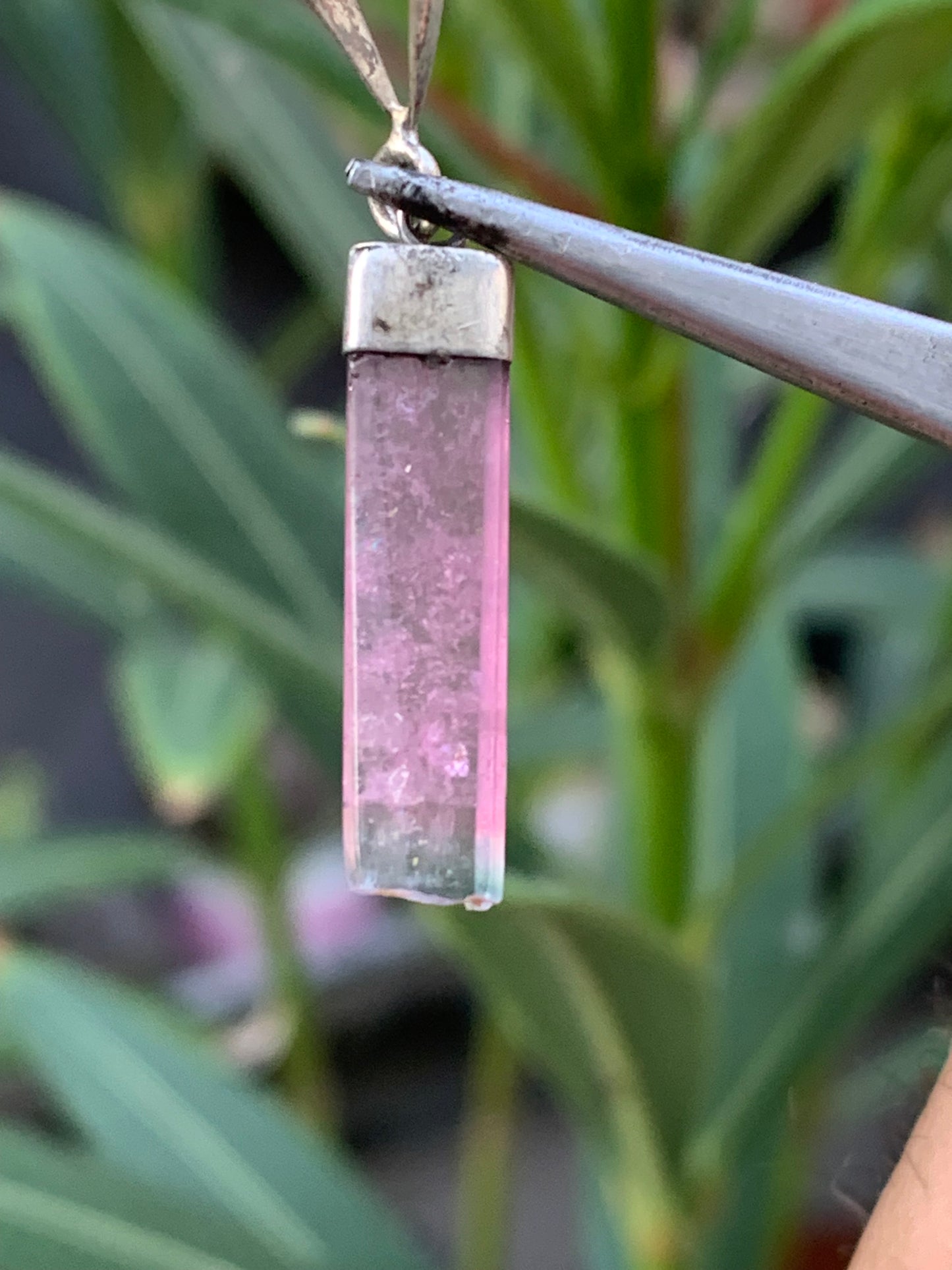 Elbaite watermelon tourmaline, silver pendant 36mm high x 6mm wide x 2mm. Sold with adjustable black cord!