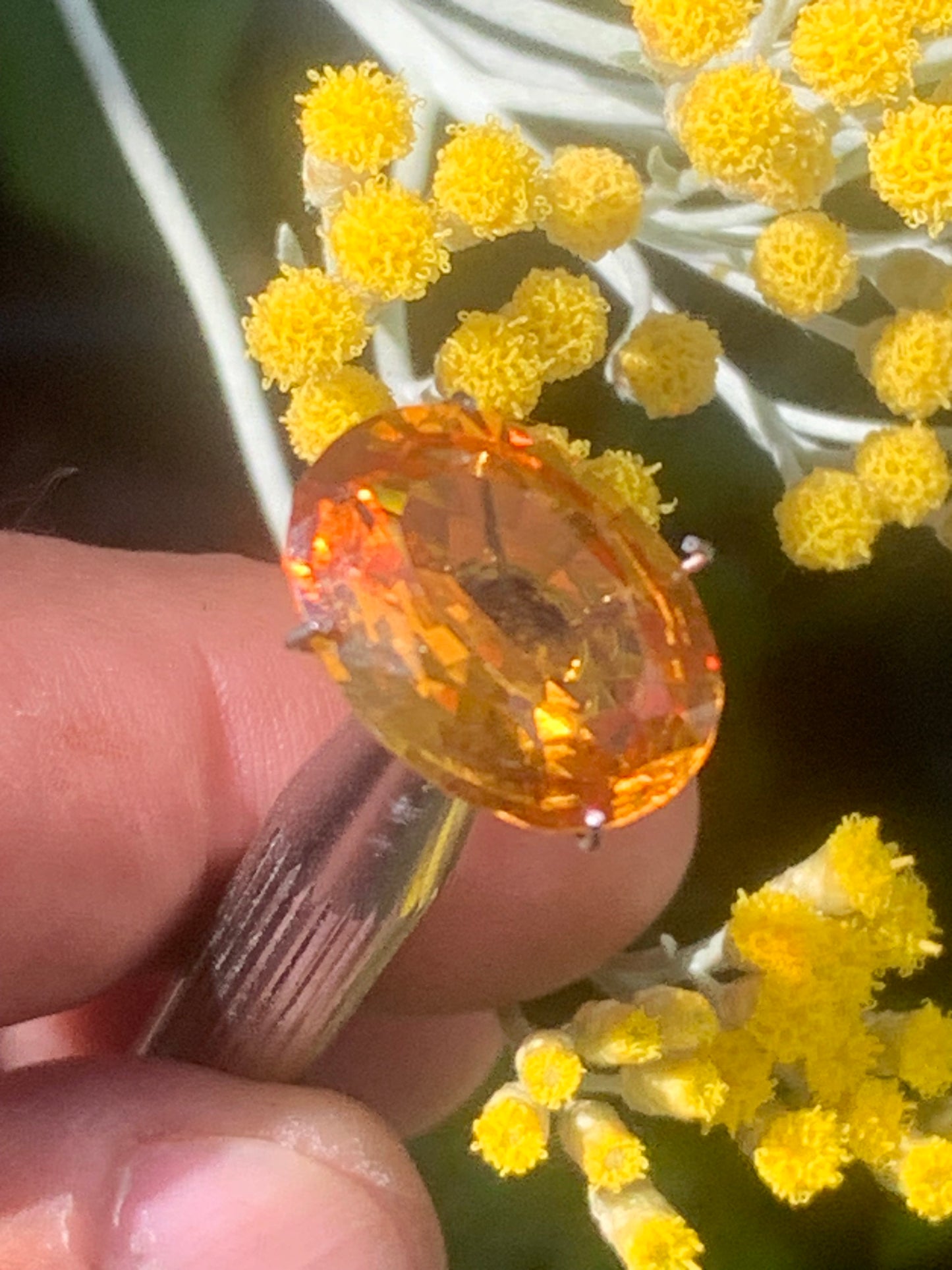 Citrine chauffée, pierre taillée de 16mm x12 x 7 - 10,5 carats. Parfait en bijouterie, collection ,exposition, etc