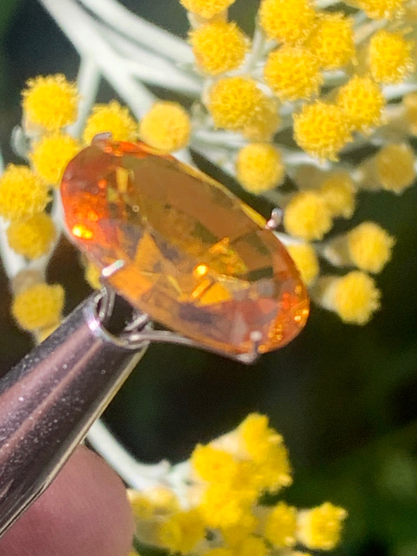 Citrine chauffée, pierre taillée de 16mm x12 x 7 - 10,5 carats. Parfait en bijouterie, collection ,exposition, etc