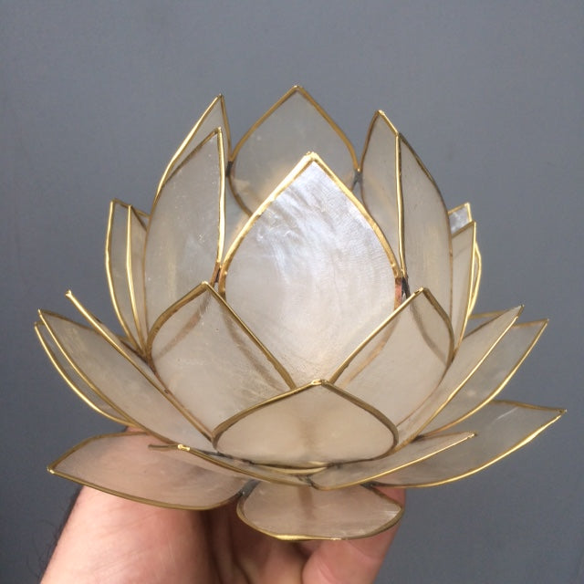 Selection of 'Lotus' candle holders made of capiz shell, 13.5 centimeters x 5.5 centimeters high. Magnificent colors, incredible effects, perfect!