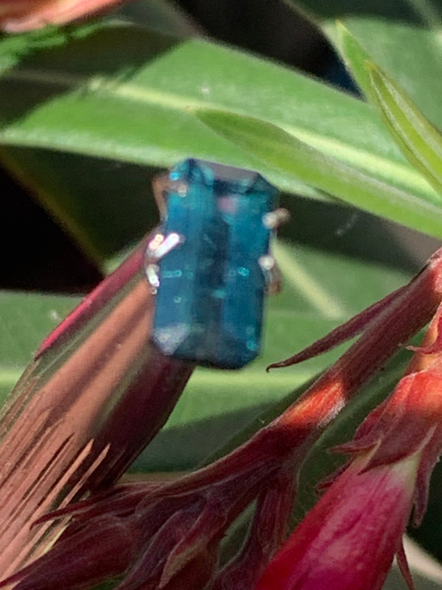 Tourmaline bleue/ Indicolite, pierre taillée de 10mm x 5 x 4 - 1,5 carat. Parfait en bijouterie, collection ,exposition...