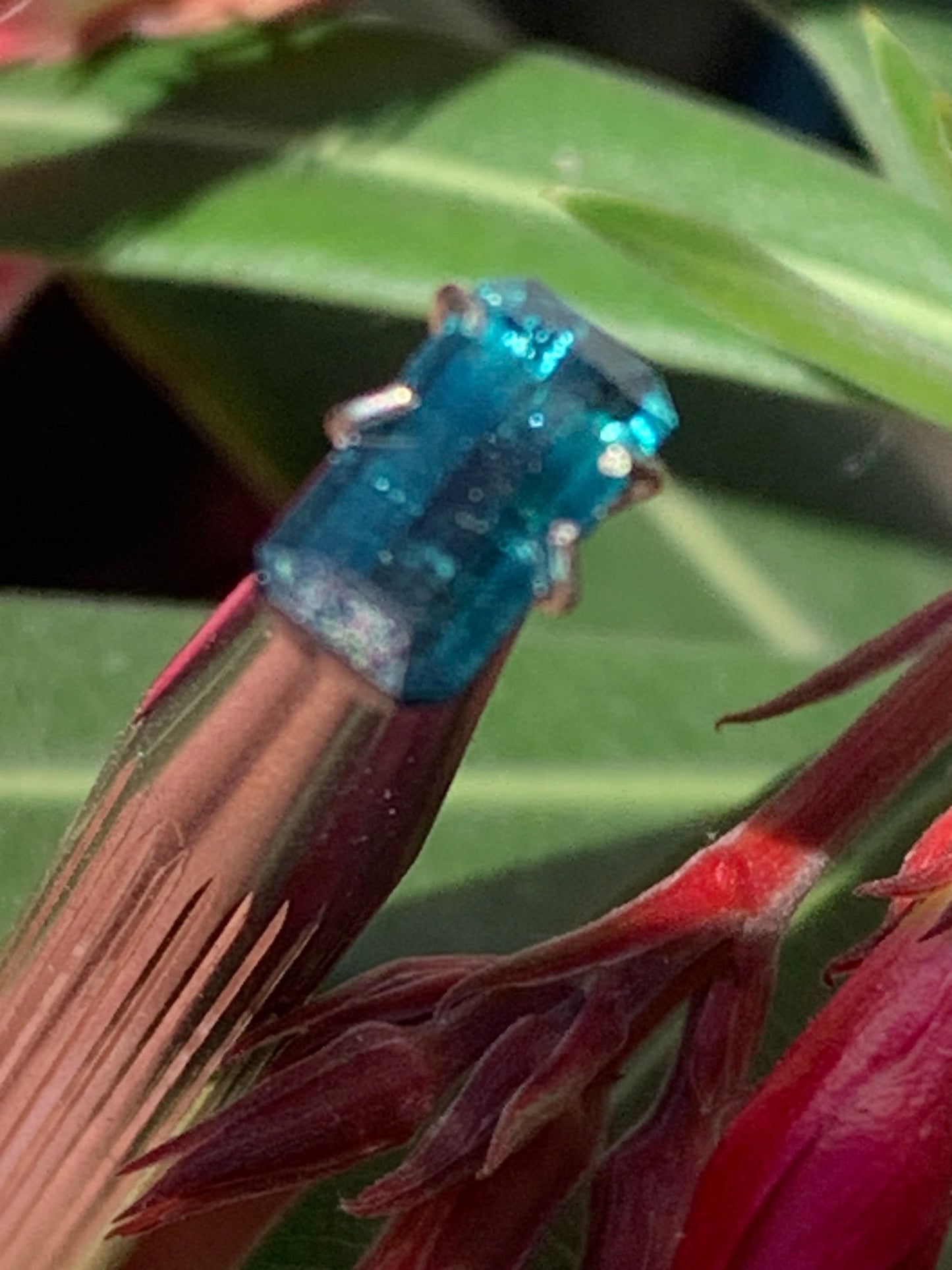 Tourmaline bleue/ Indicolite, pierre taillée de 10mm x 5 x 4 - 1,5 carat. Parfait en bijouterie, collection ,exposition...