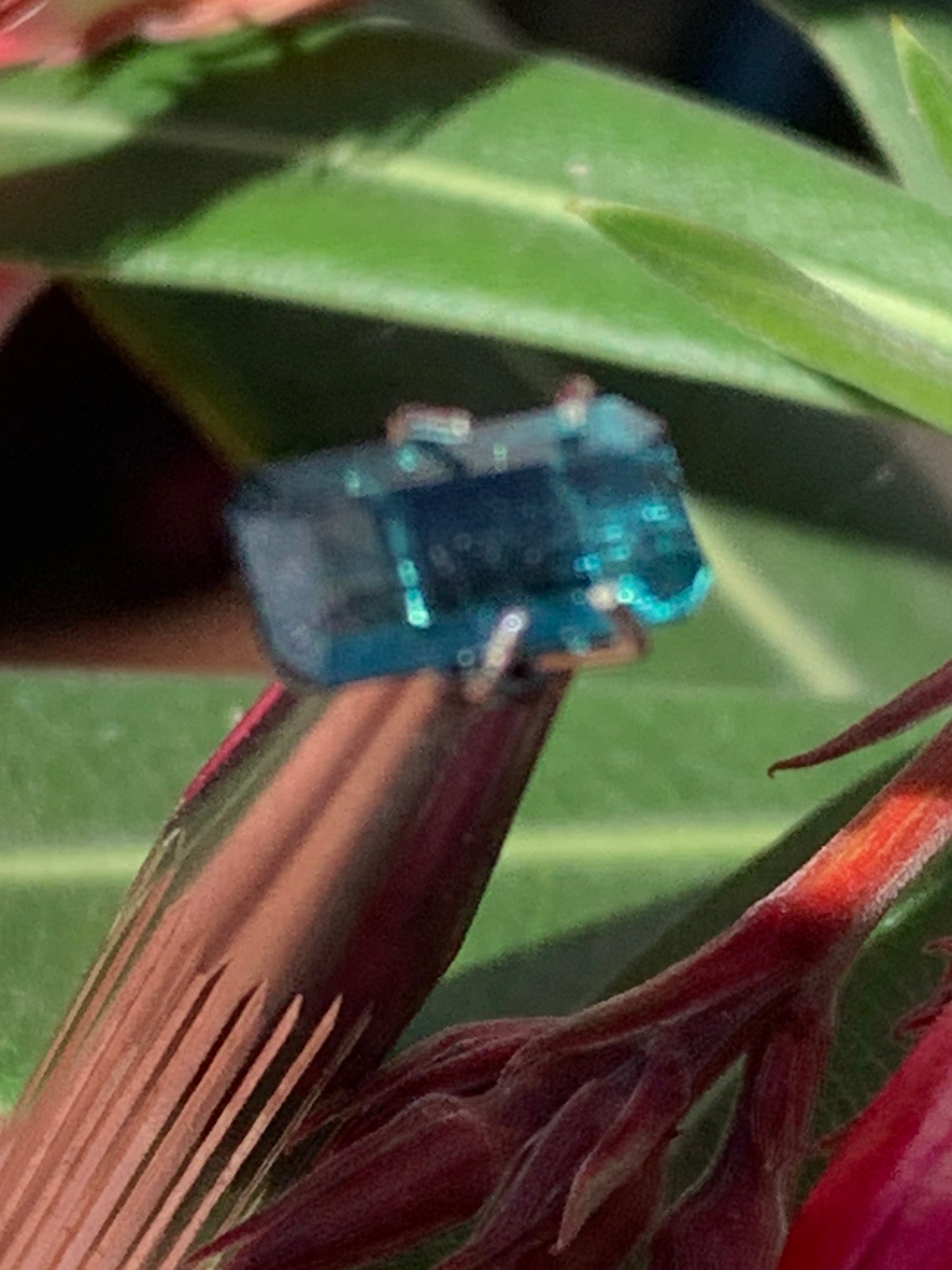 Tourmaline bleue/ Indicolite, pierre taillée de 10mm x 5 x 4 - 1,5 carat. Parfait en bijouterie, collection ,exposition...
