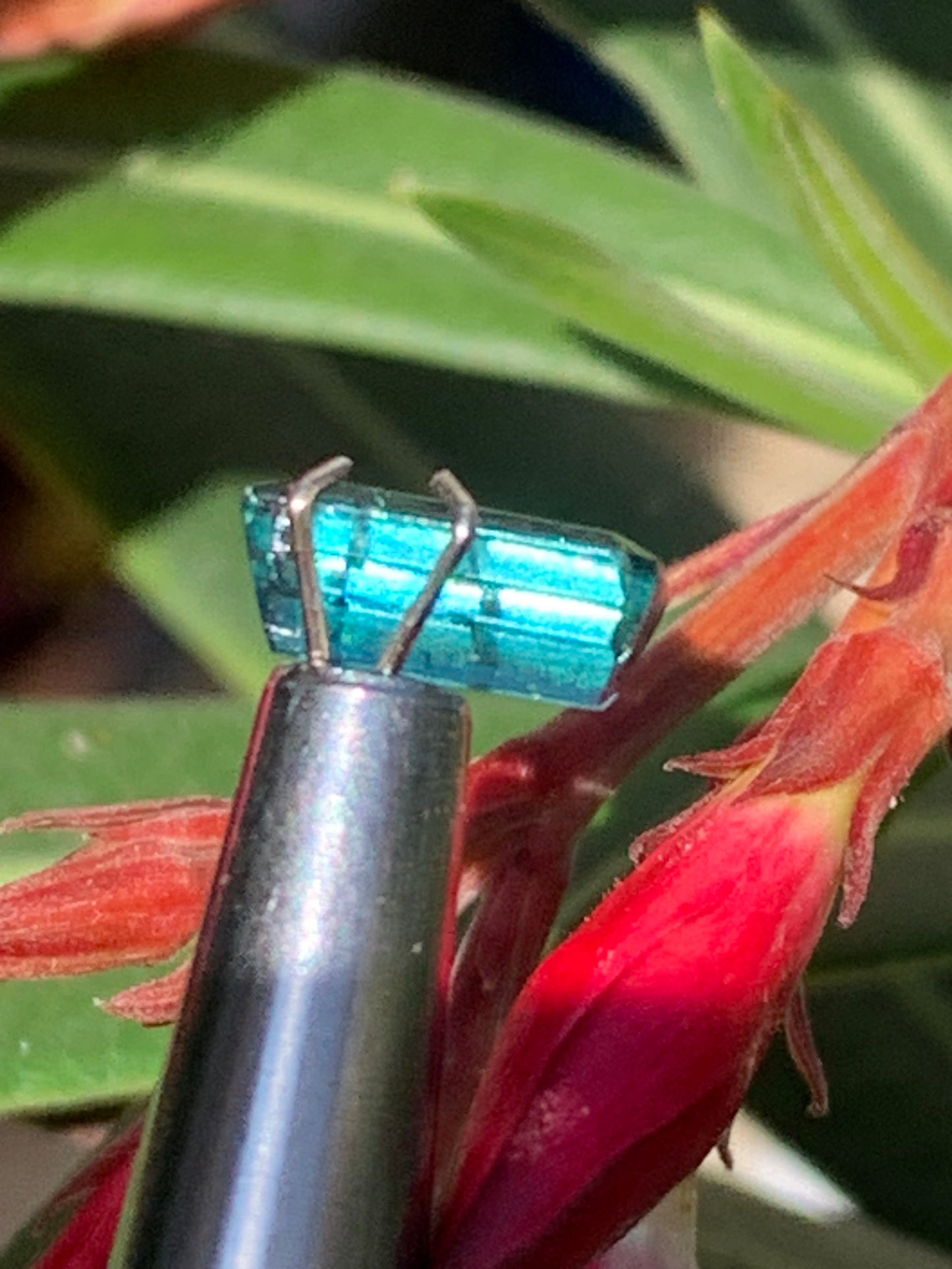 Tourmaline bleue/ Indicolite, pierre taillée de 10mm x 5 x 4 - 1,5 carat. Parfait en bijouterie, collection ,exposition...