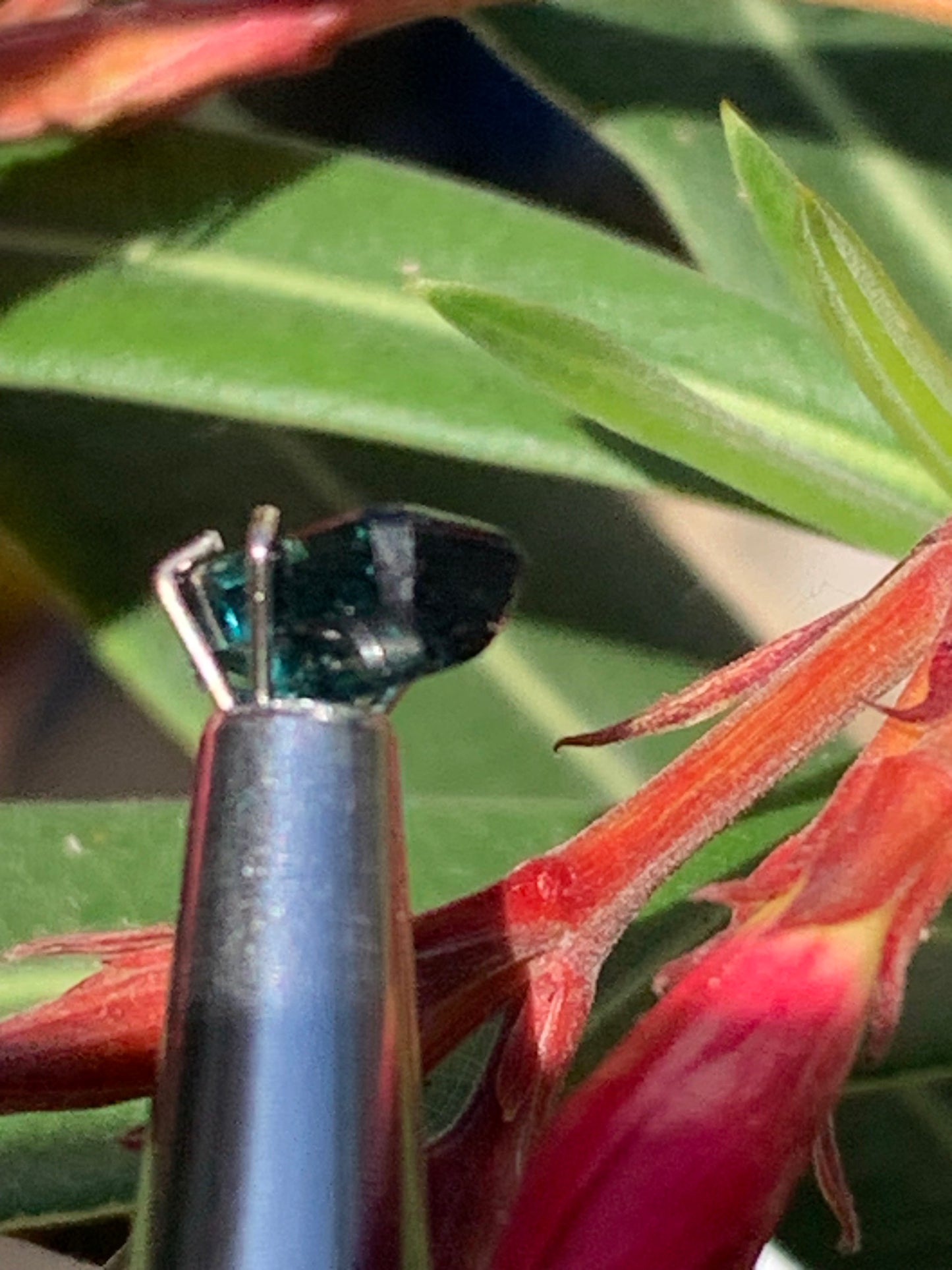 Tourmaline bleue/ Indicolite, pierre taillée de 10mm x 5 x 4 - 1,5 carat. Parfait en bijouterie, collection ,exposition...