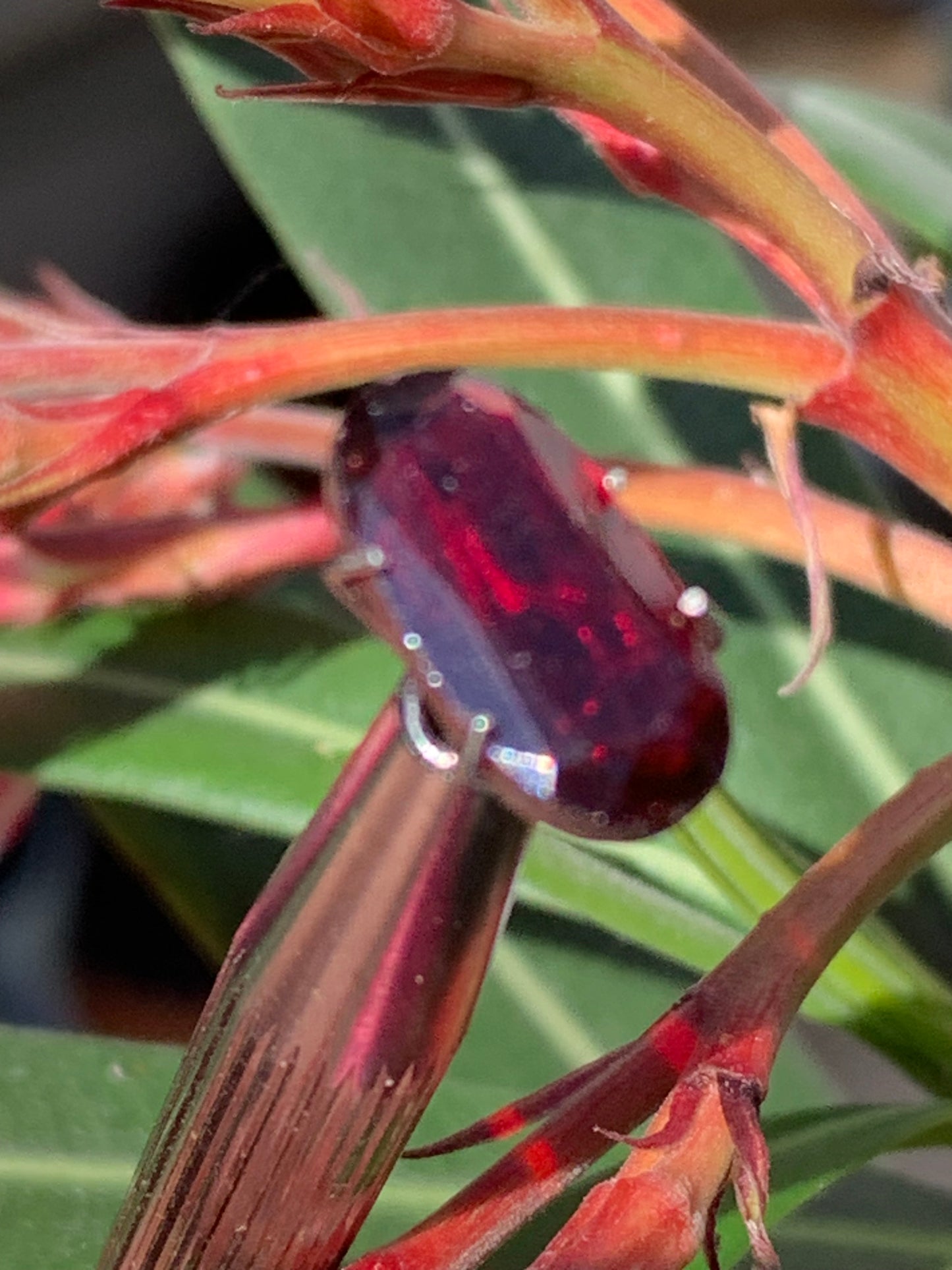 Grenat Almandin, pierre taillée de 14mm x7 x5 - 4 carats. Parfait en bijouterie, collection ,exposition...