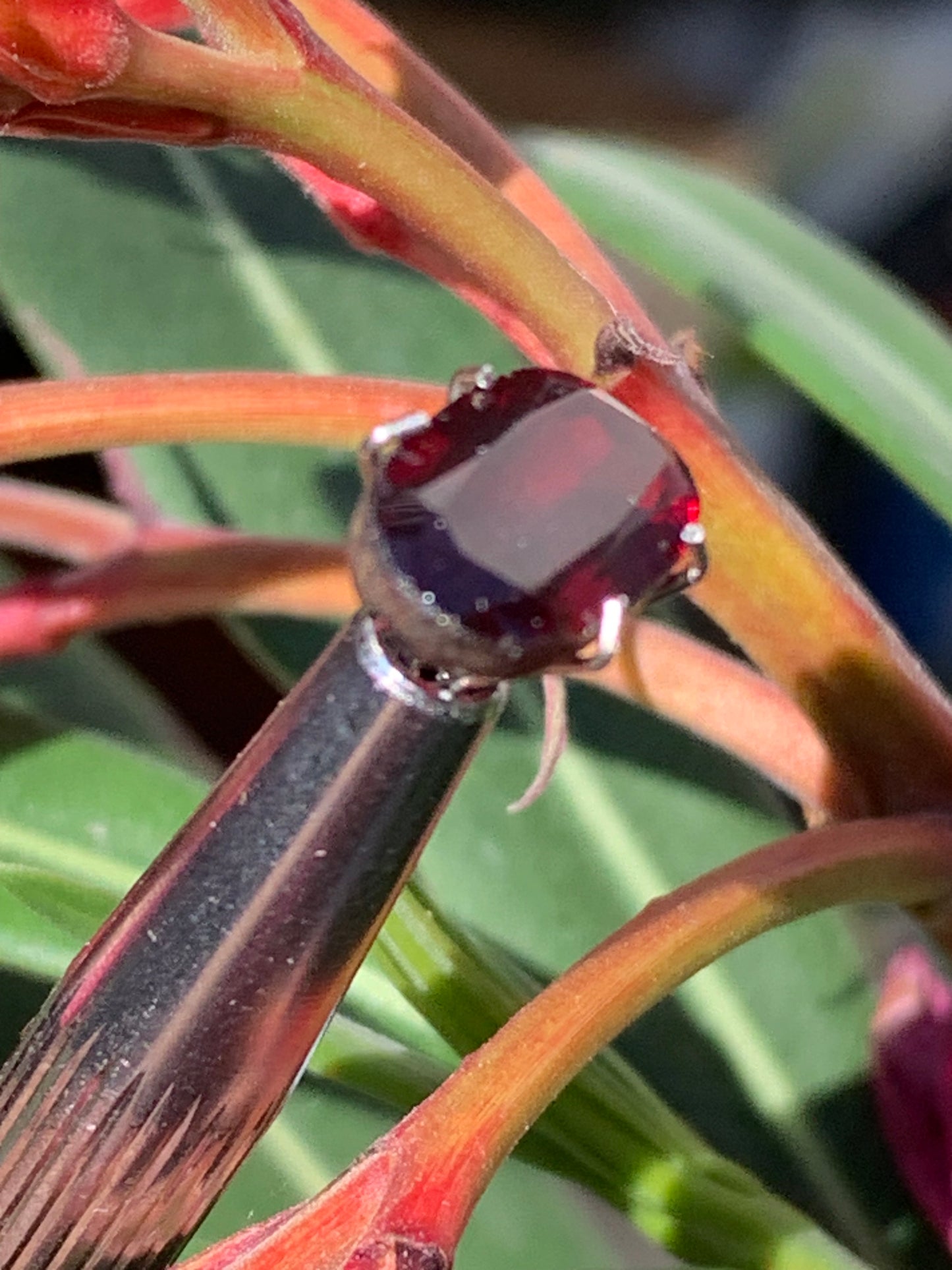 Grenat Almandin, pierre taillée de 14mm x7 x5 - 4 carats. Parfait en bijouterie, collection ,exposition...