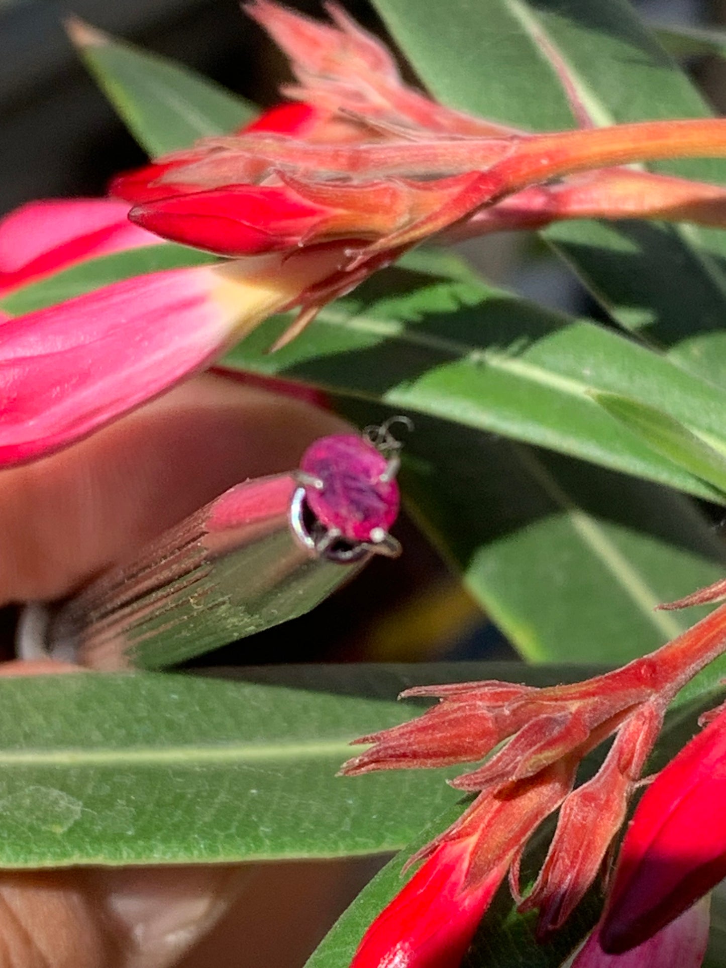 Spinelle, pierre fine taillée de 5mm x 4 x 2 - 1 carat. Parfait en bijouterie, collection ,exposition...