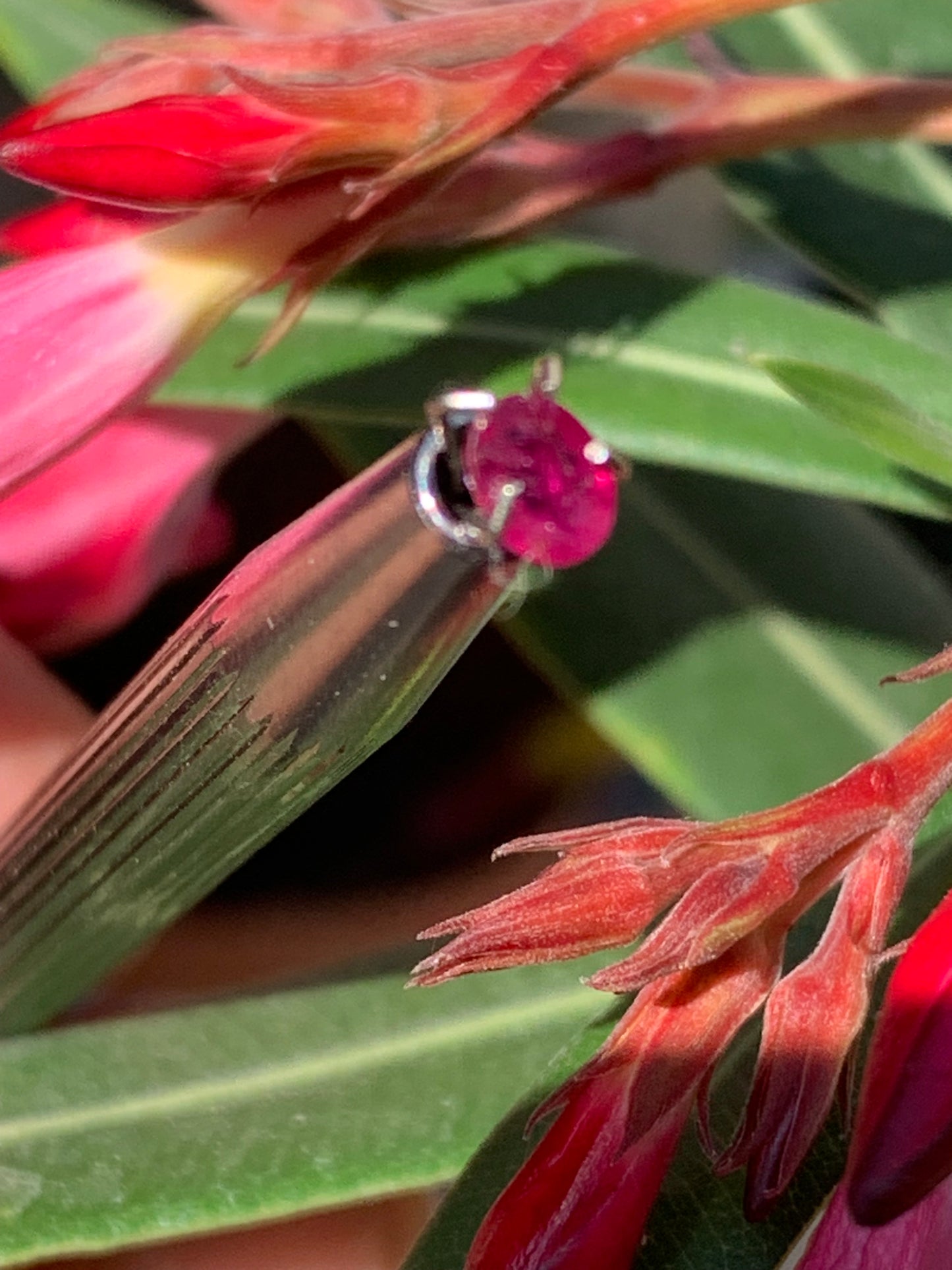 Spinelle, pierre fine taillée de 5mm x 4 x 2 - 1 carat. Parfait en bijouterie, collection ,exposition...