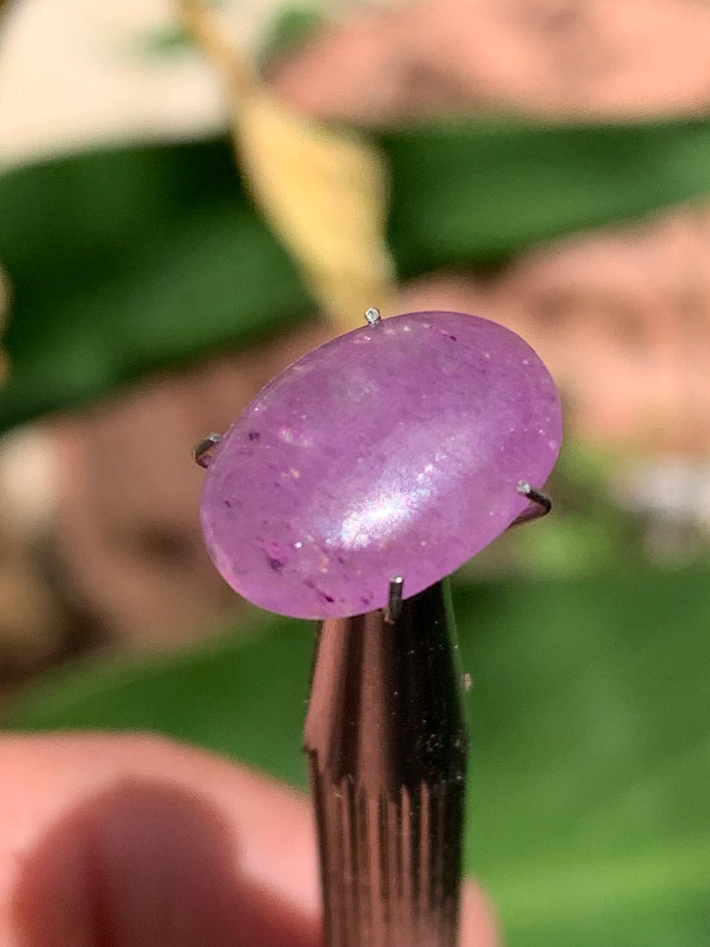 Améthyste, cabochon de 10mm x 5 x 4 - 1,5 carats. Parfait en bijouterie, collection ,exposition...